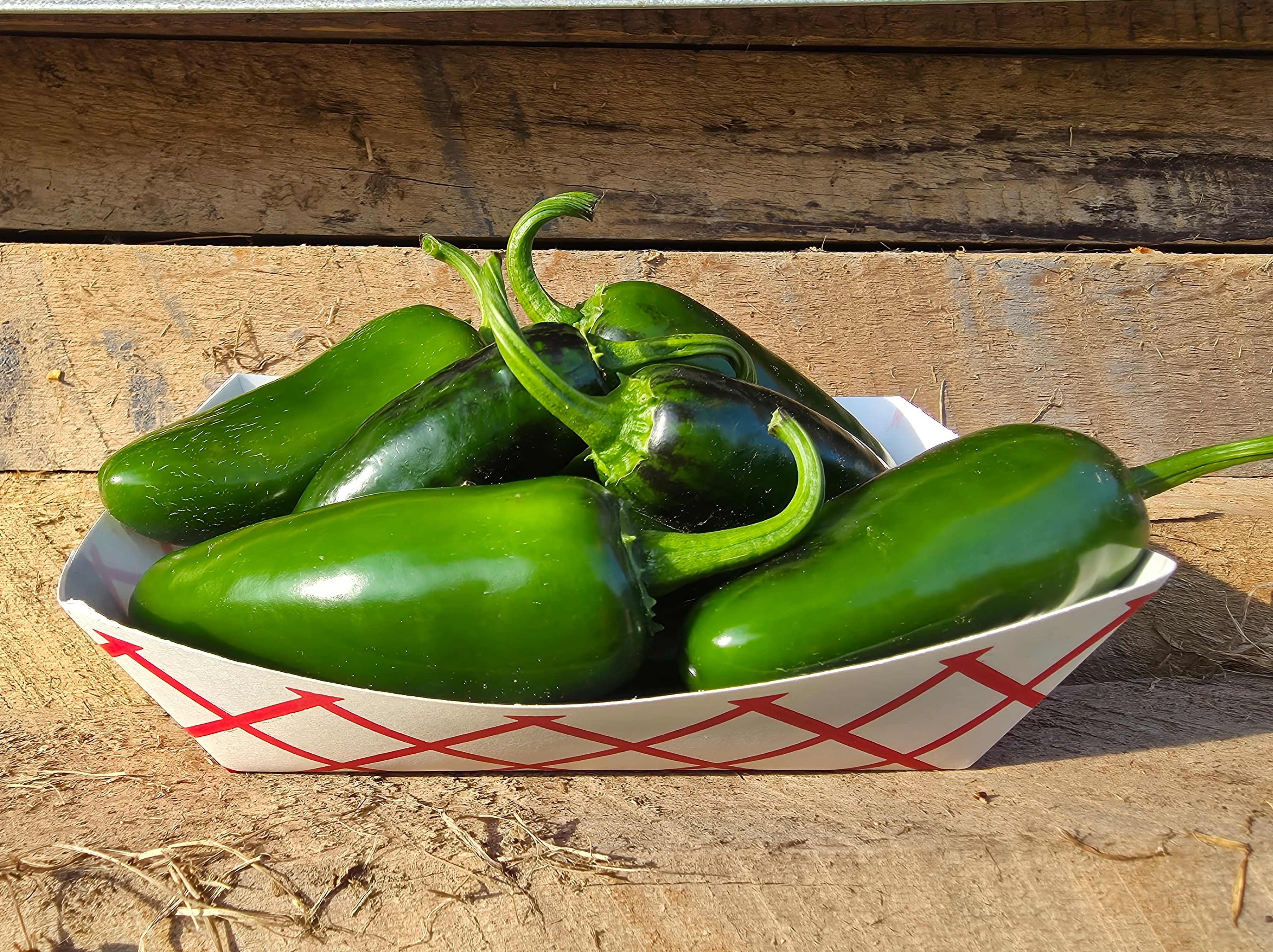 Thumbnail image 1 for Jalapeño peppers