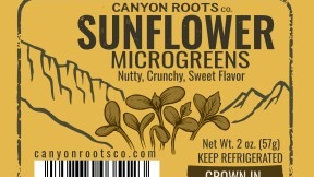 Thumbnail image 3 for Sunflower Microgreens - 2 Oz