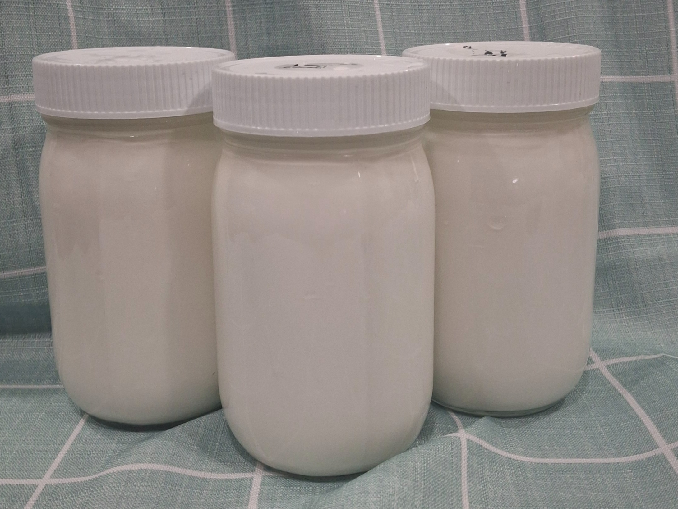 Goat yogurt