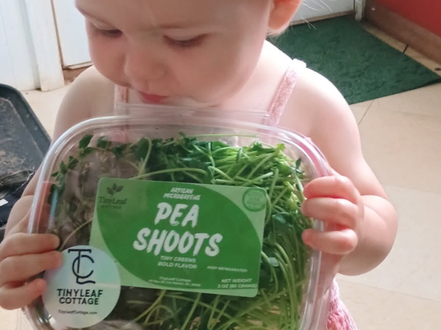Thumbnail image 4 for Pea Shoot Microgreens 3 Oz