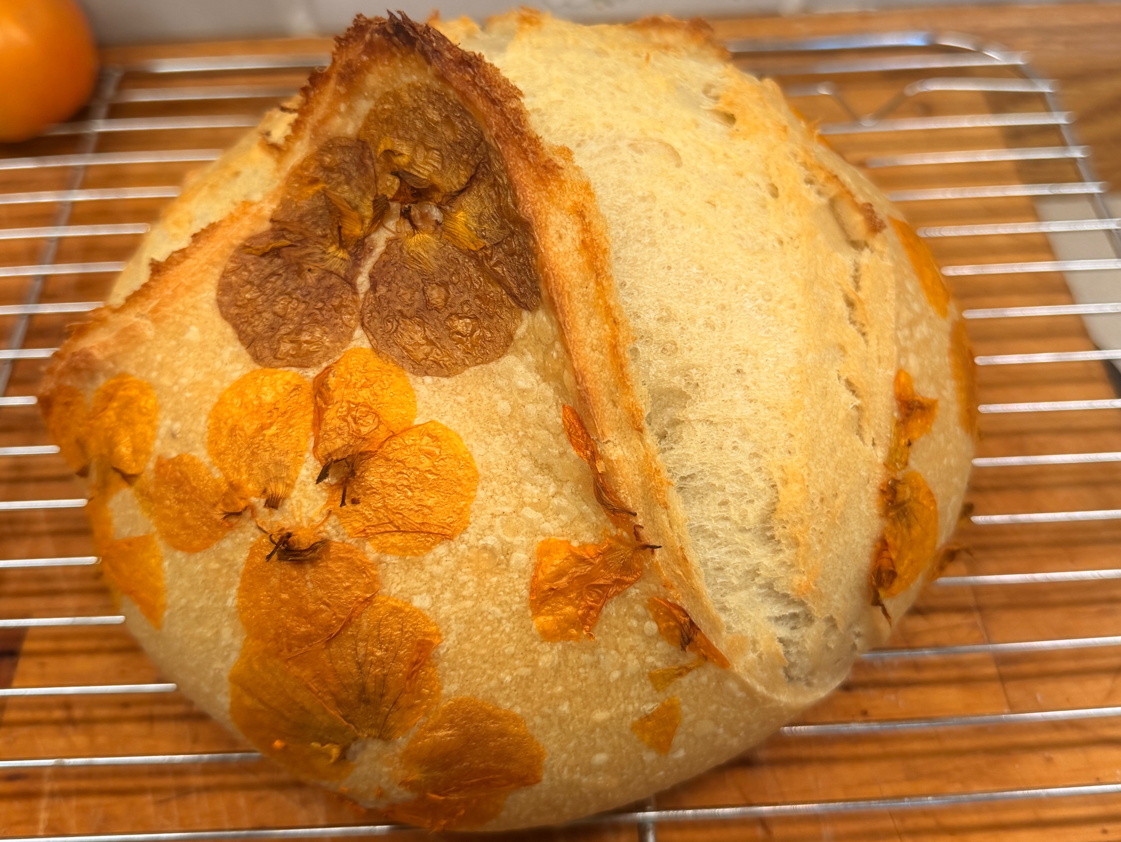 Thumbnail image 1 for Plain Sourdough Loaf: Full-Sized Boule