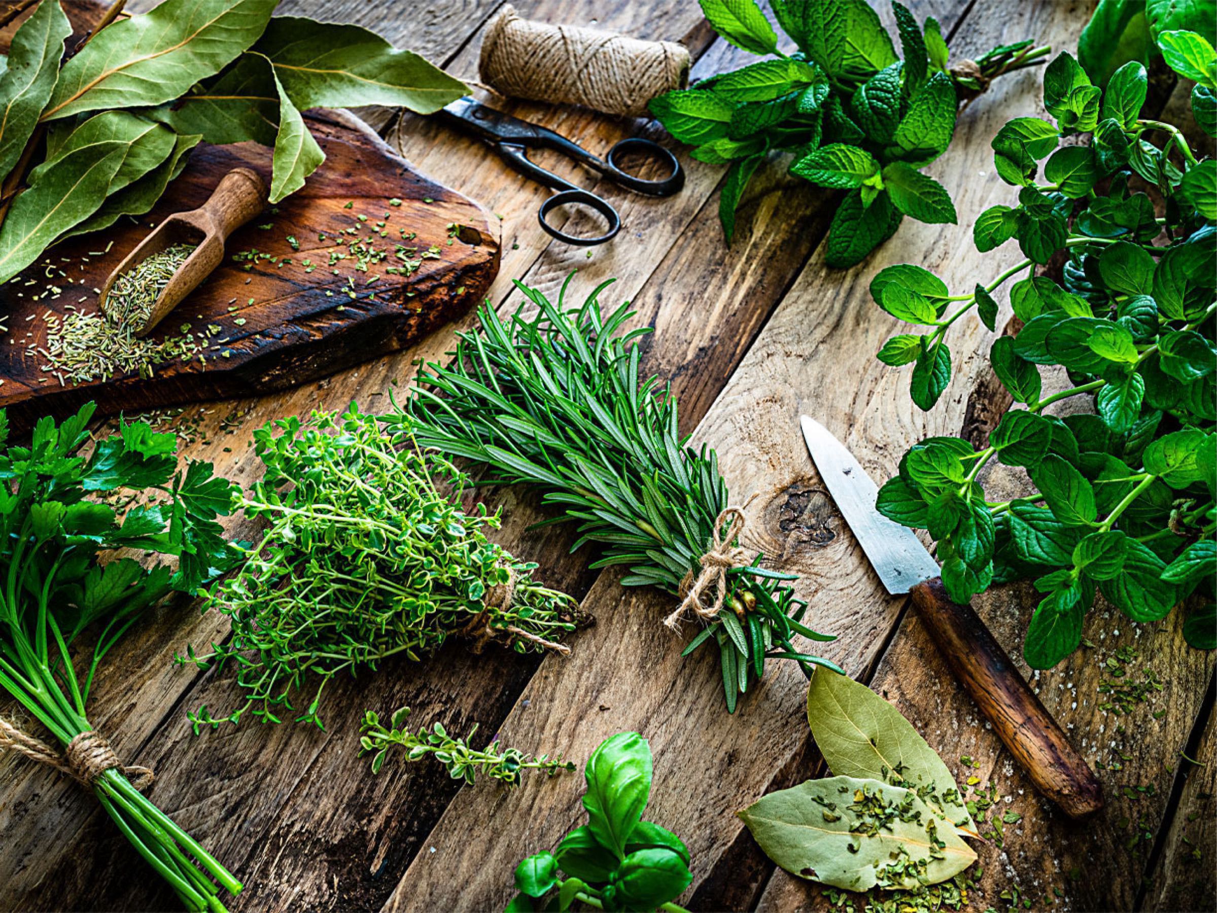 Onion Chives-freeze dried