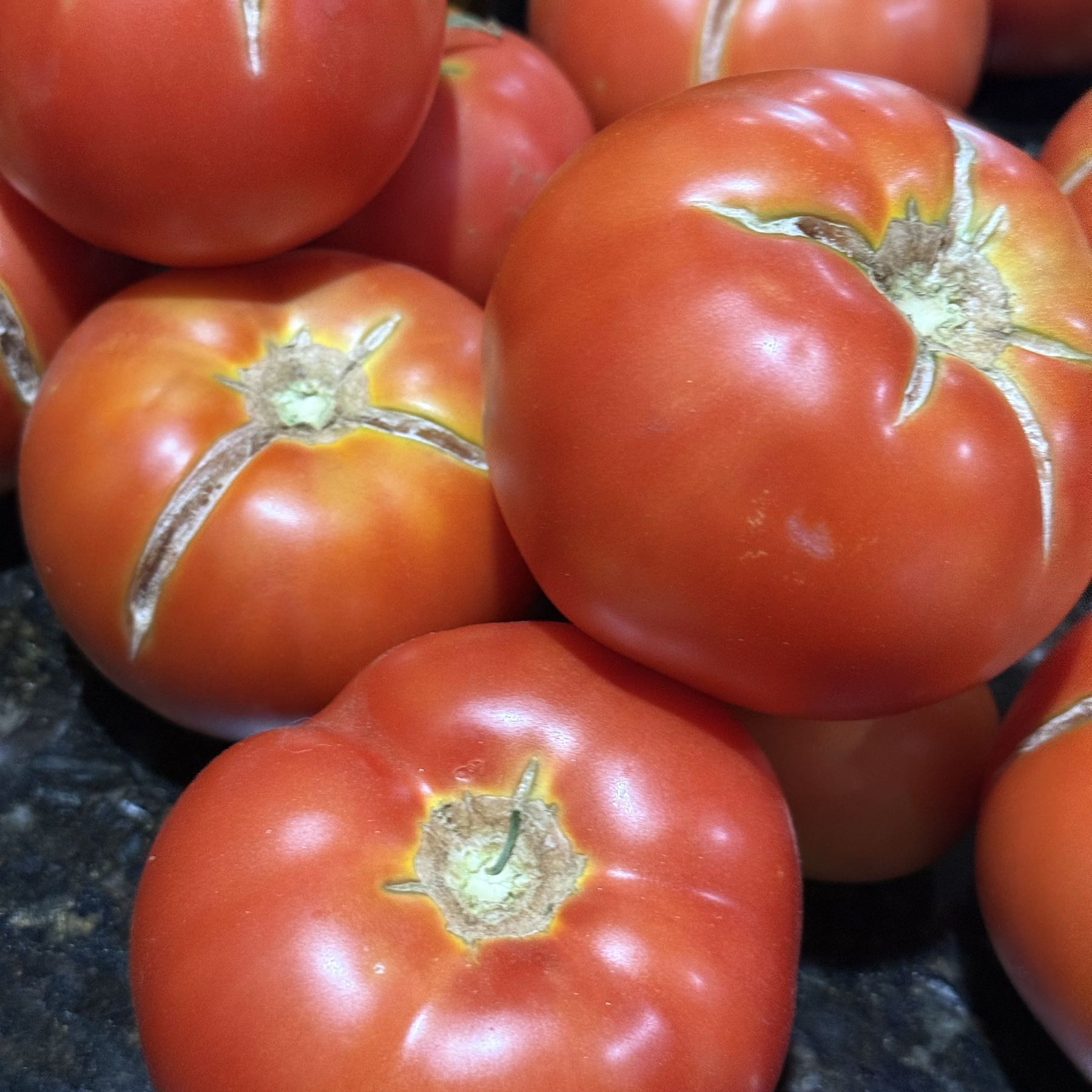 Tomatoes -round 