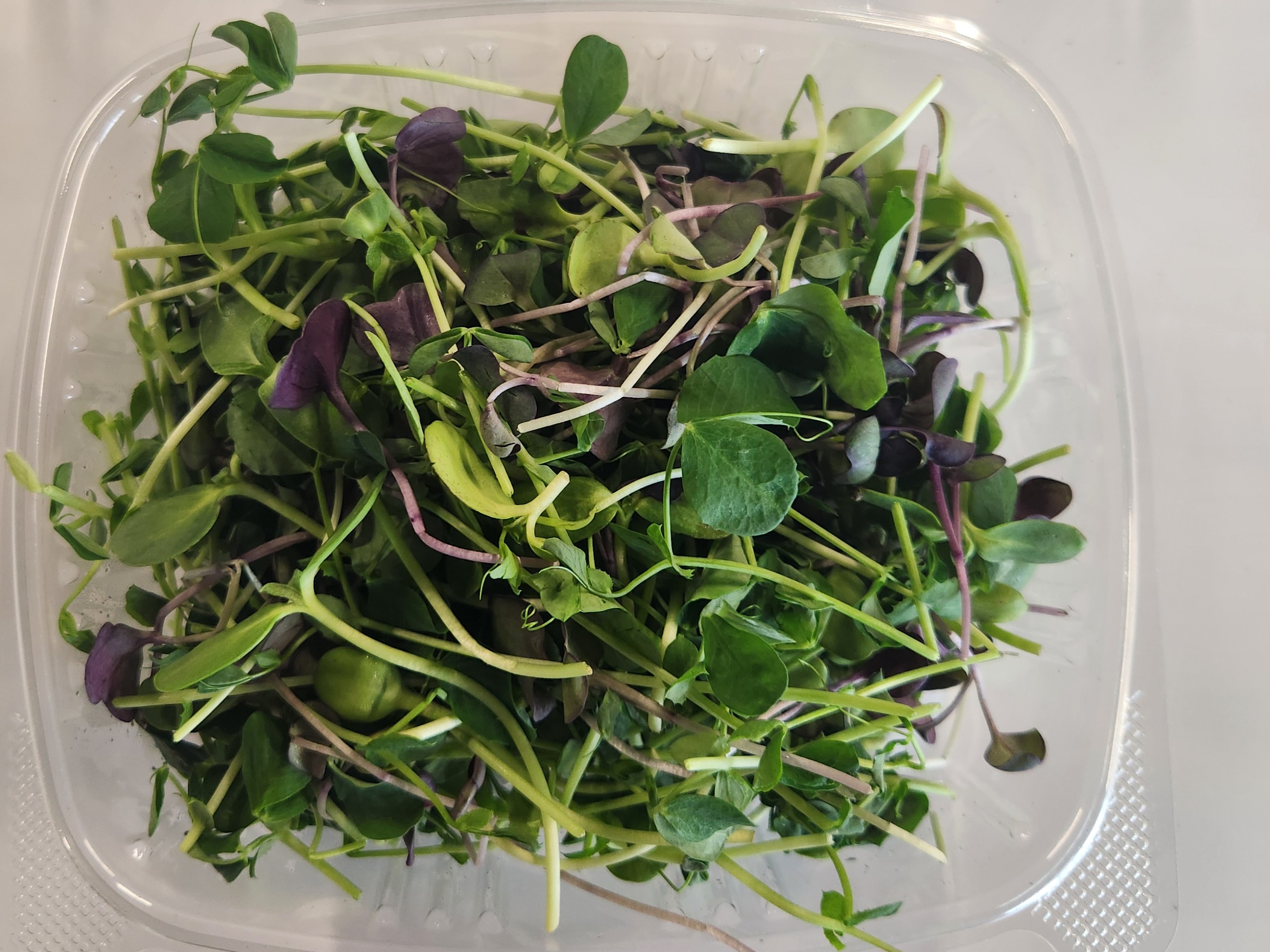 Thumbnail image 4 for Microgreens Mix 2 Oz