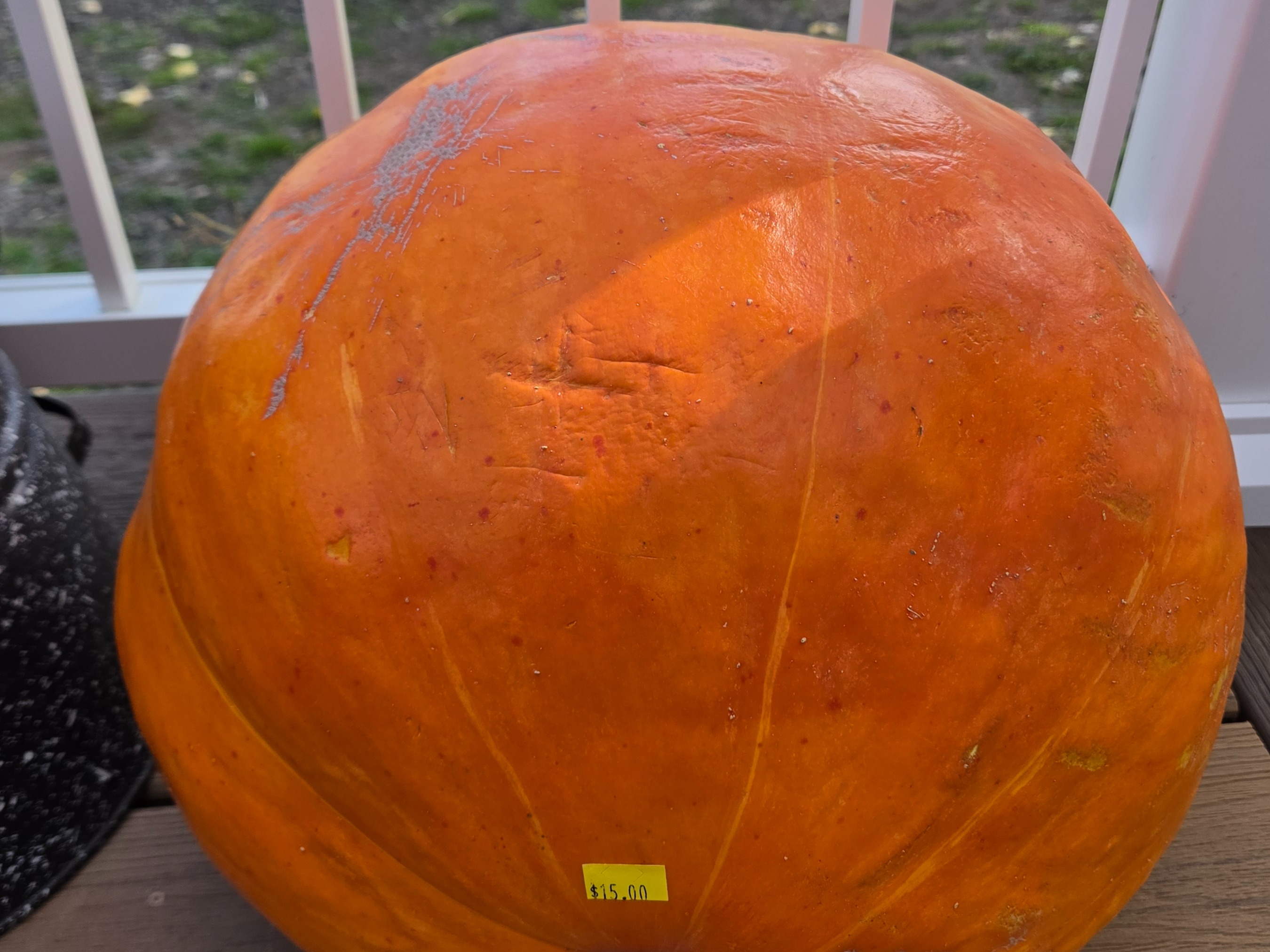 Decor - Carving Pumpkin