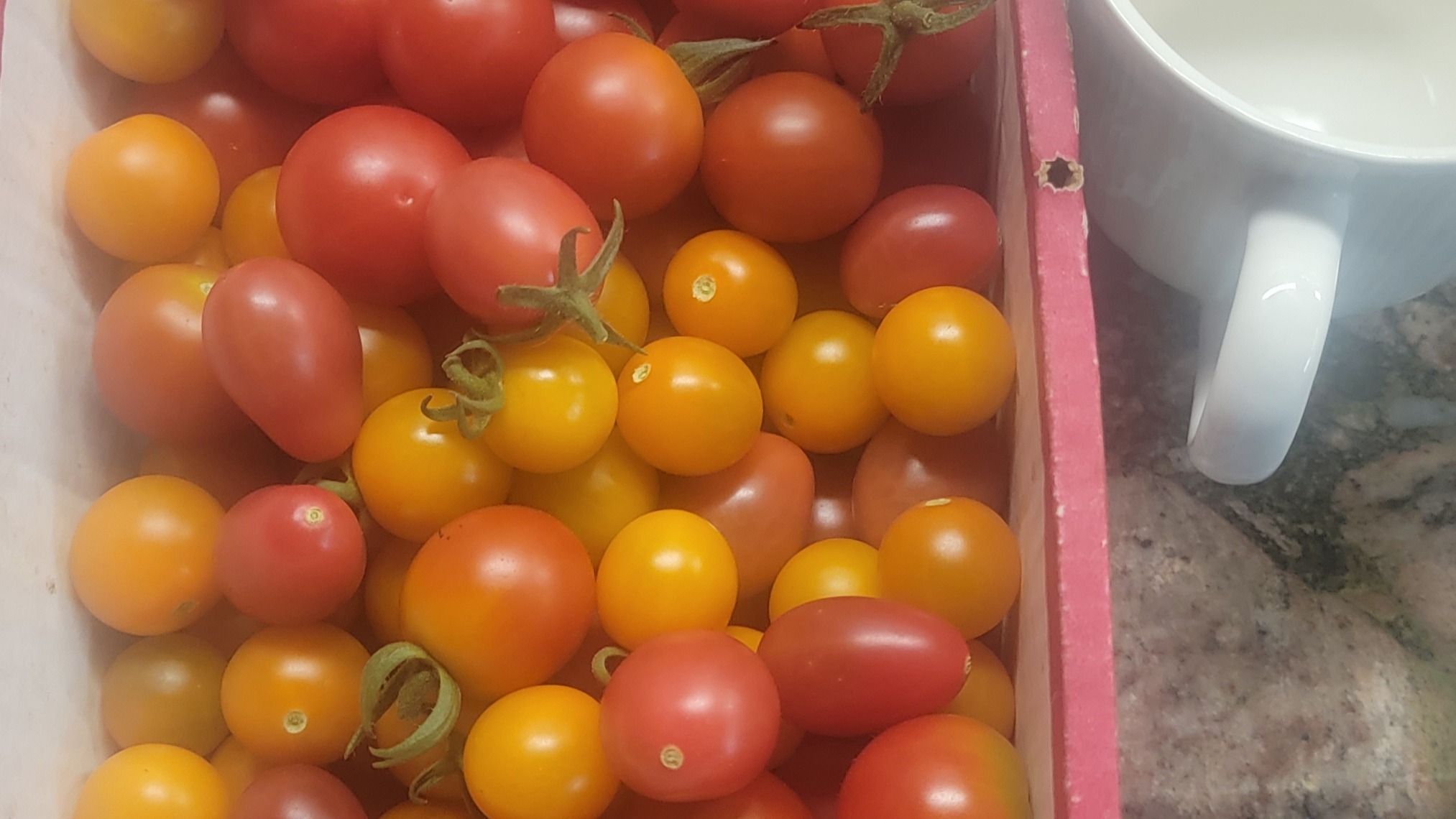 Fresh cherry and grape tomatoes
