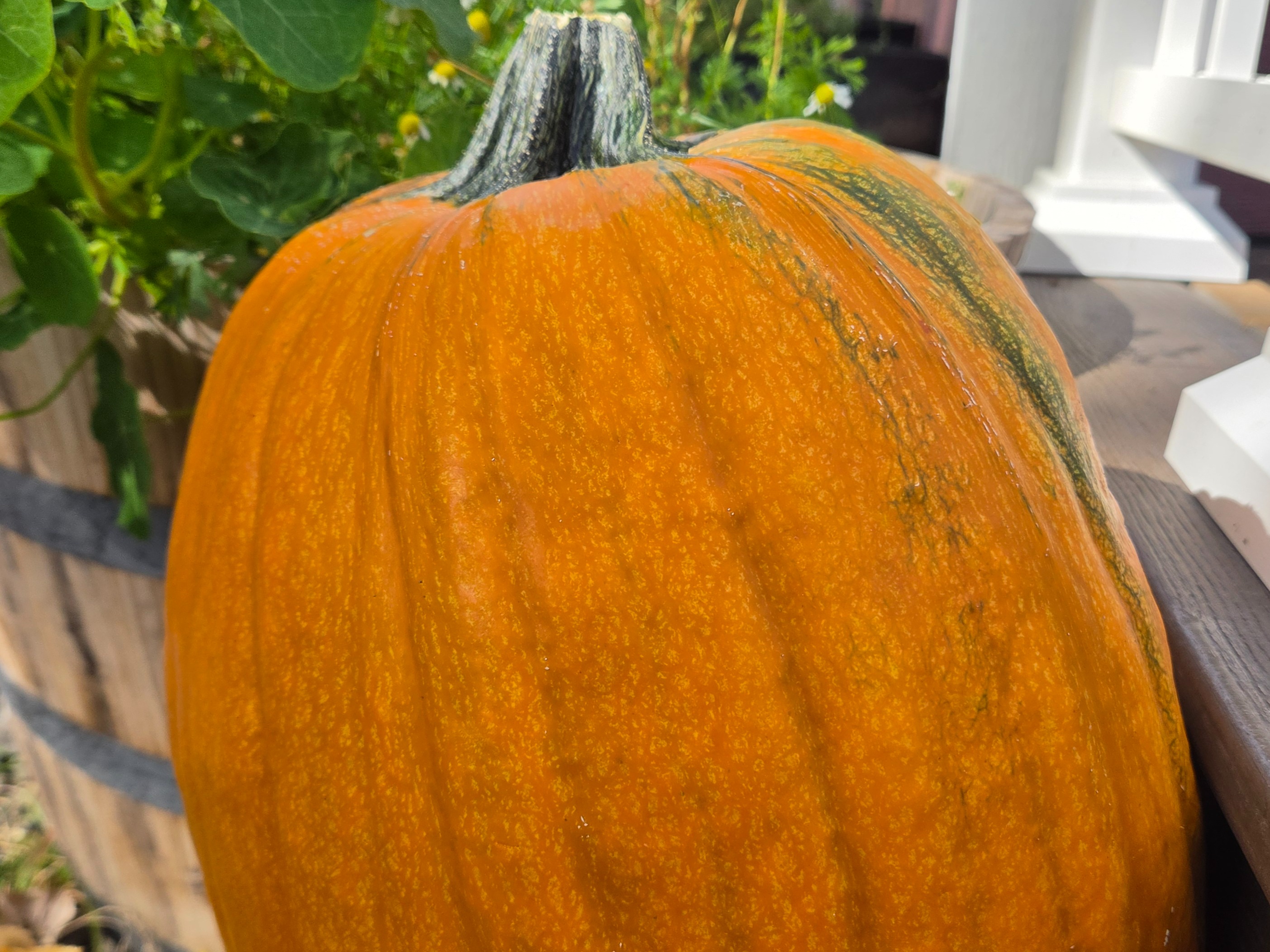 Decor - Carving Pumpkin