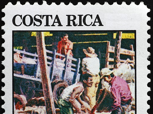 5lb Costa Rican Medium Roast Whole Bean