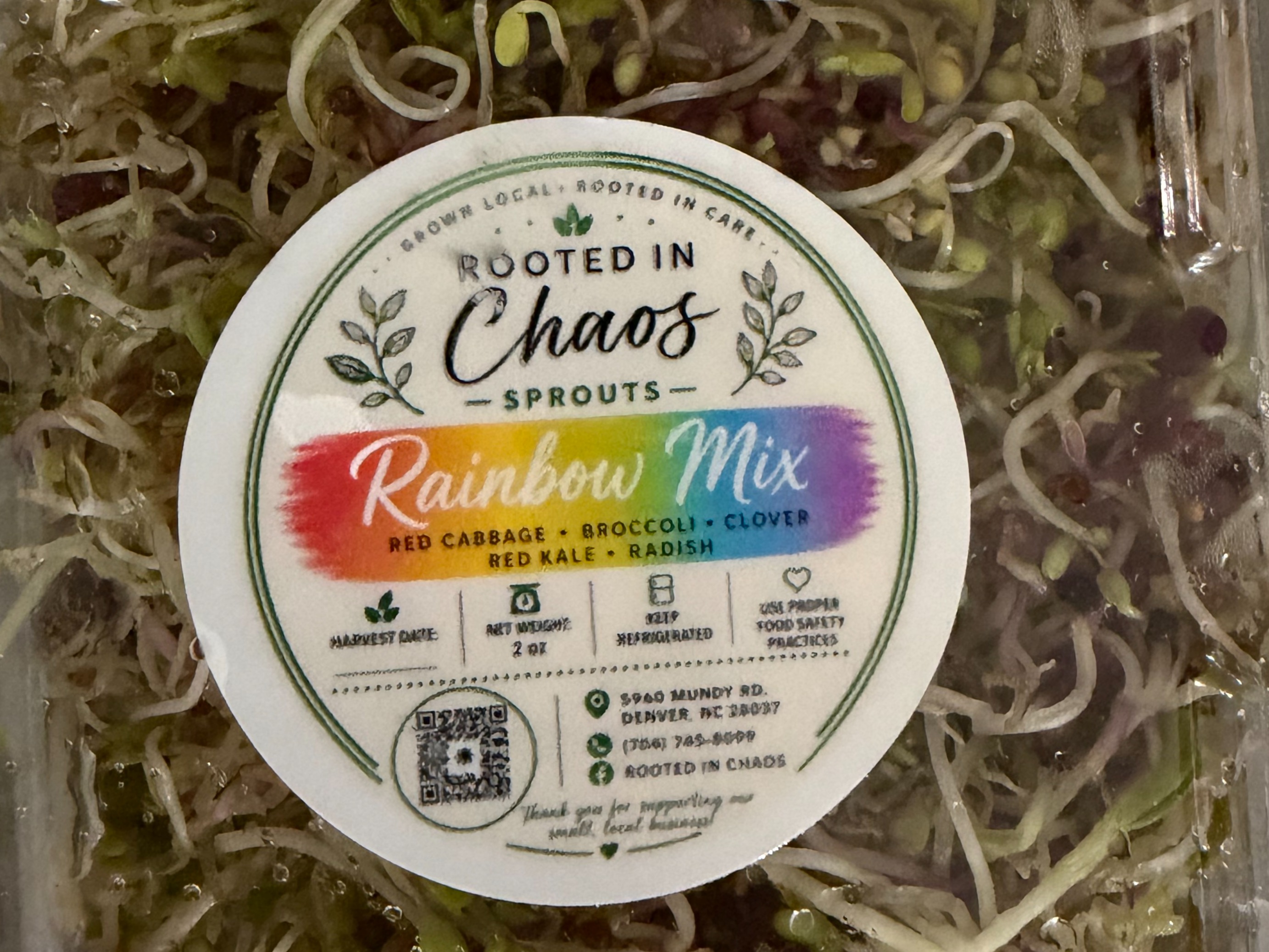 Rainbow Mix