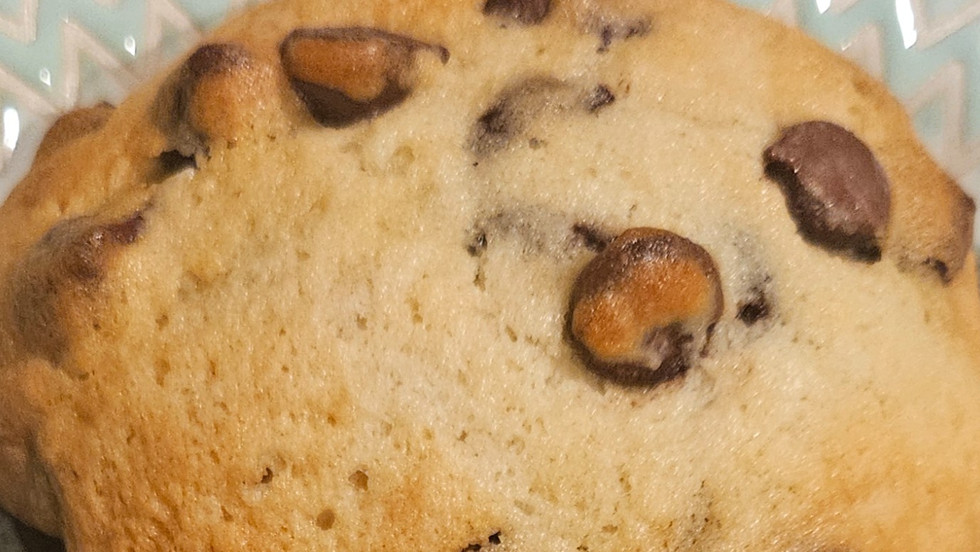 Sourdough Chocolate Chip Cookies