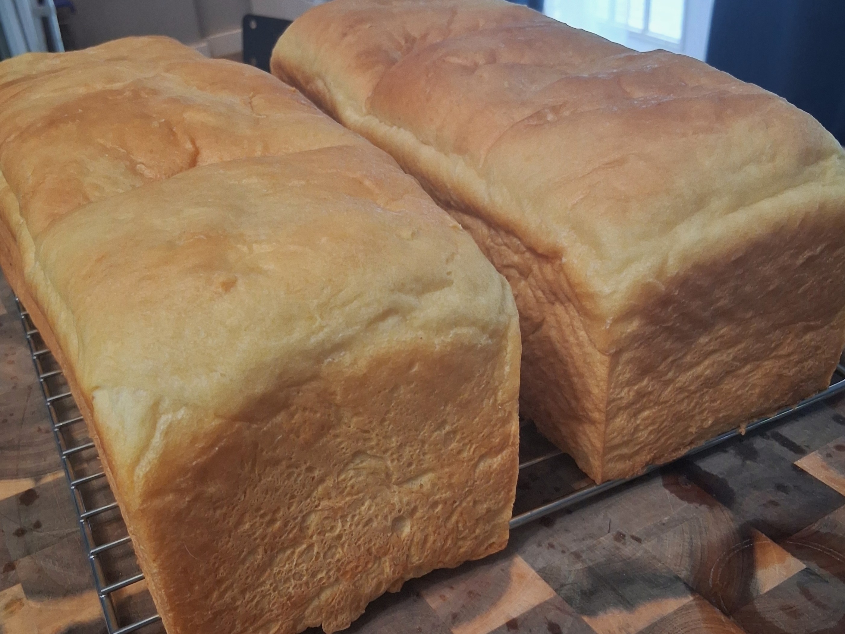 Thumbnail image 1 for 13 Inch Milk Bread
