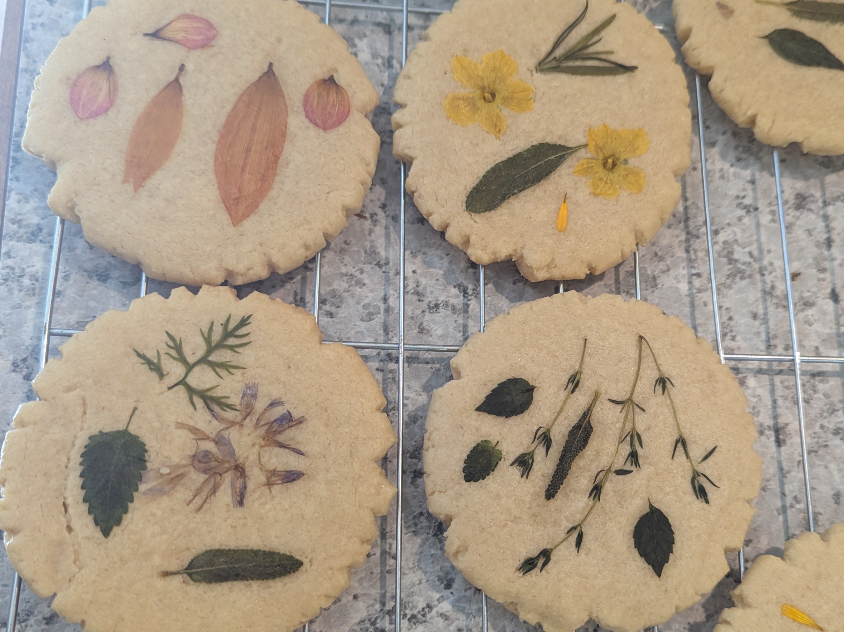 Thumbnail image 2 for Pressed Flower Shortbread Cookies (12)