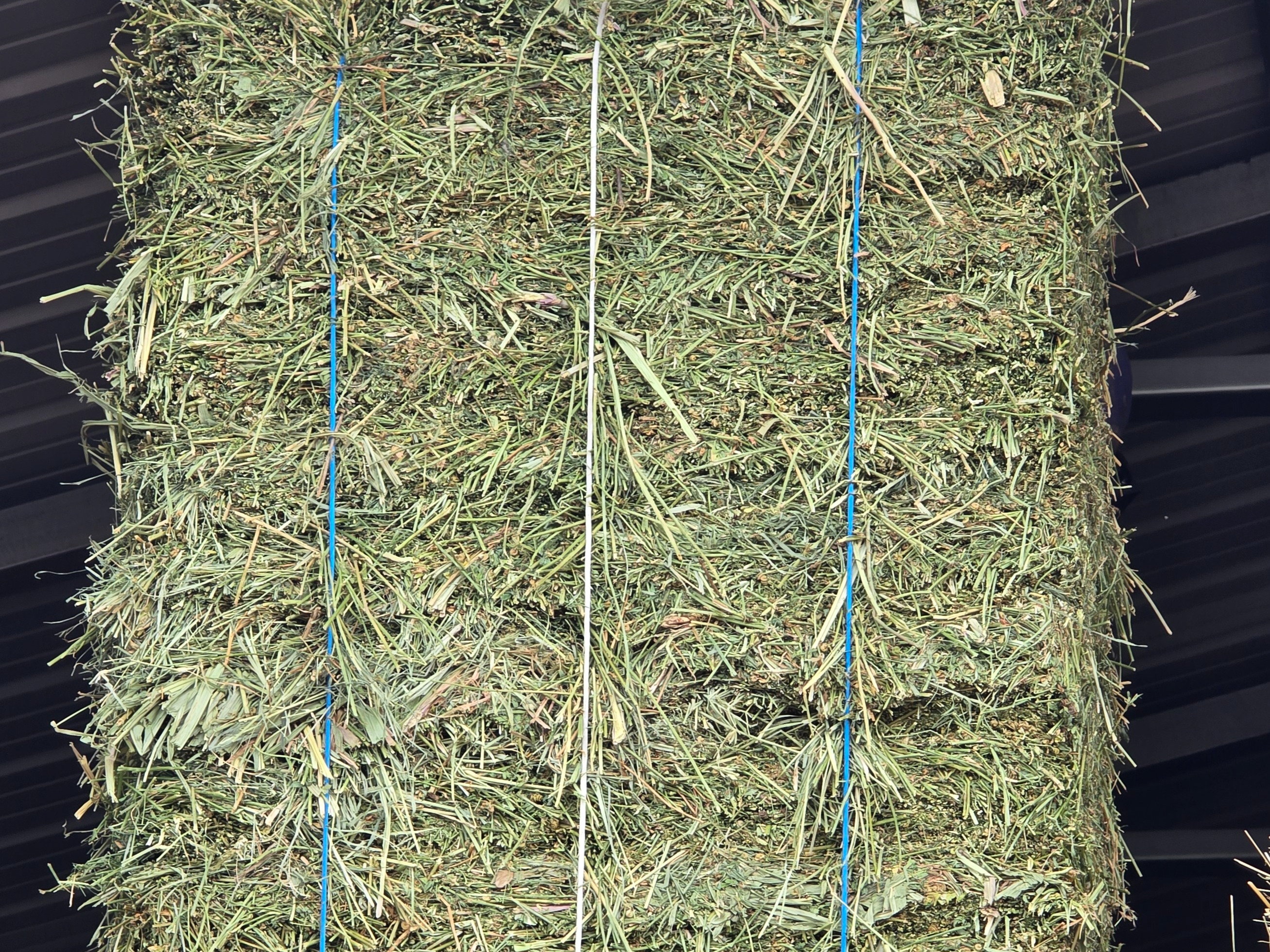 Hay
