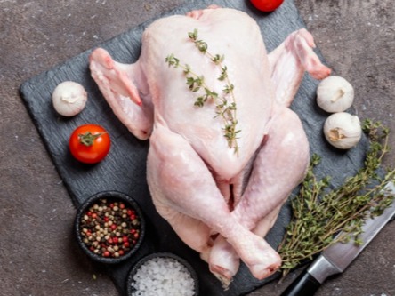 Whole Chicken – Pasture-Raised & Nutrient-Rich