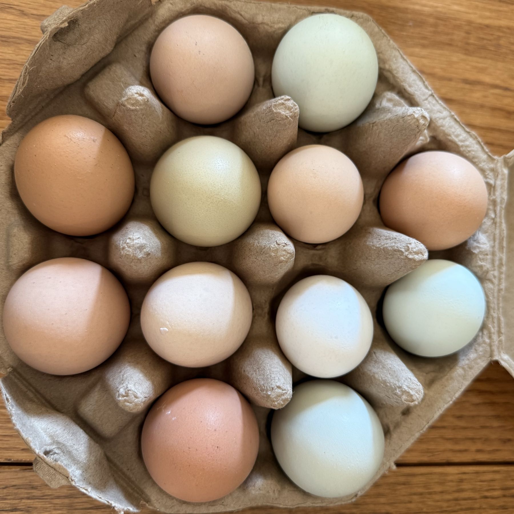Thumbnail image 1 for Eggs