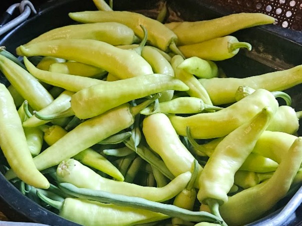 Thumbnail image 2 for Banana Peppers(Mild-Medium heat(