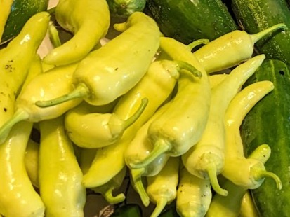 Thumbnail image 3 for Banana Peppers(Mild-Medium heat(