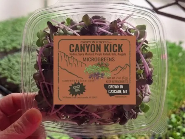 CRC - Canyon Kick (Spicy Mix) Microgreens - 2 oz.