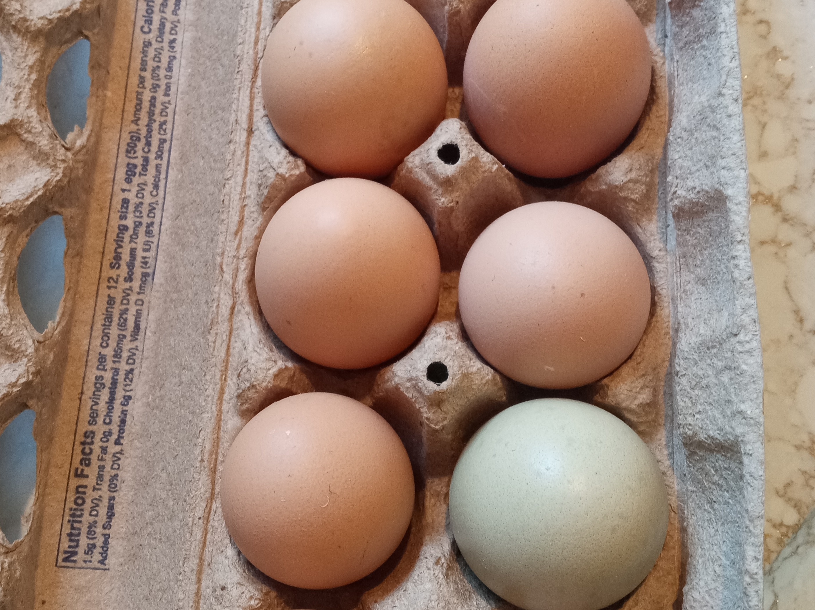 Eggs