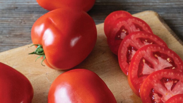 START - Tomato - Kuzco