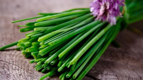 Herb Chives