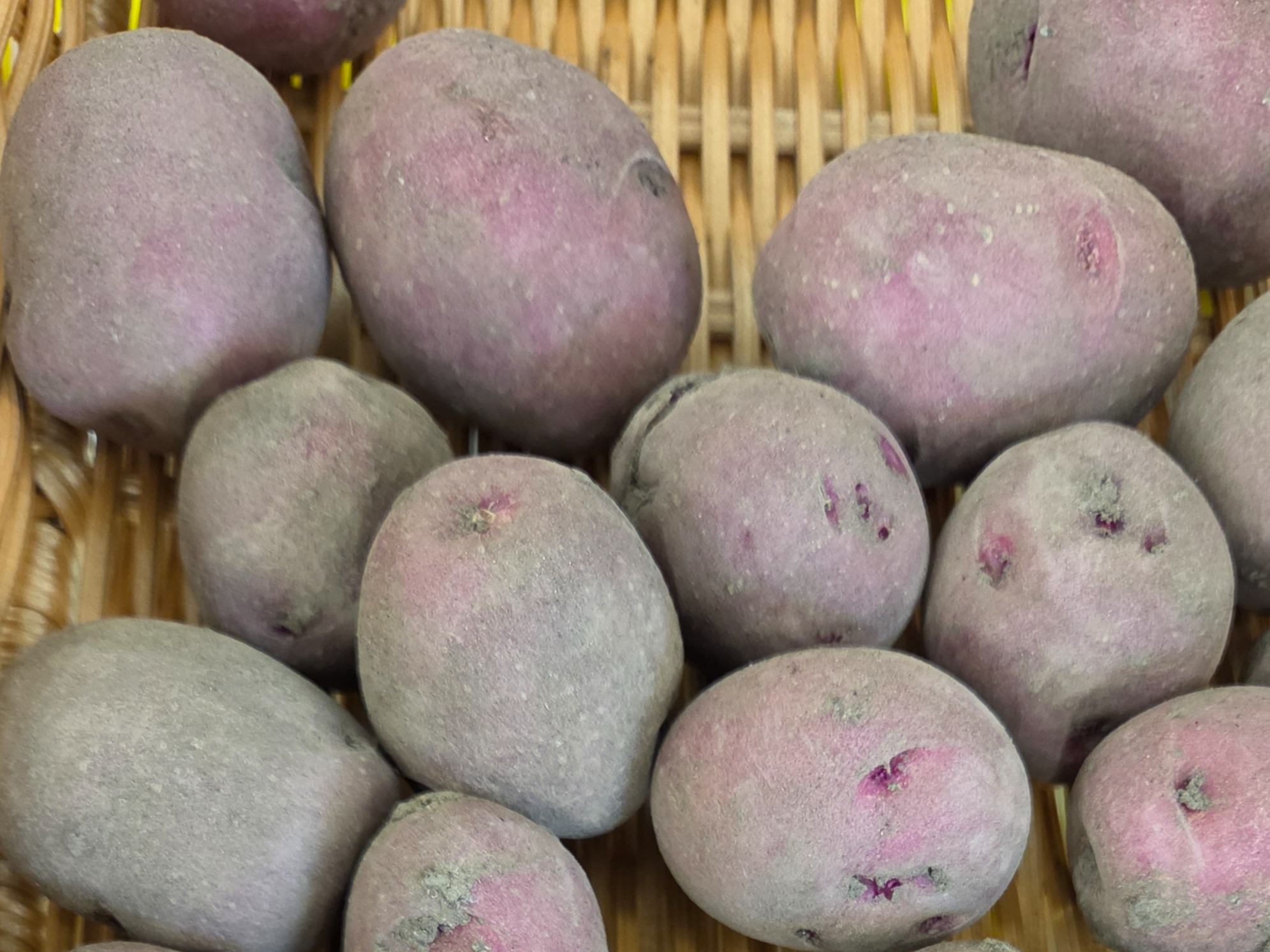 Grab N Go - Potatoes - Red Port