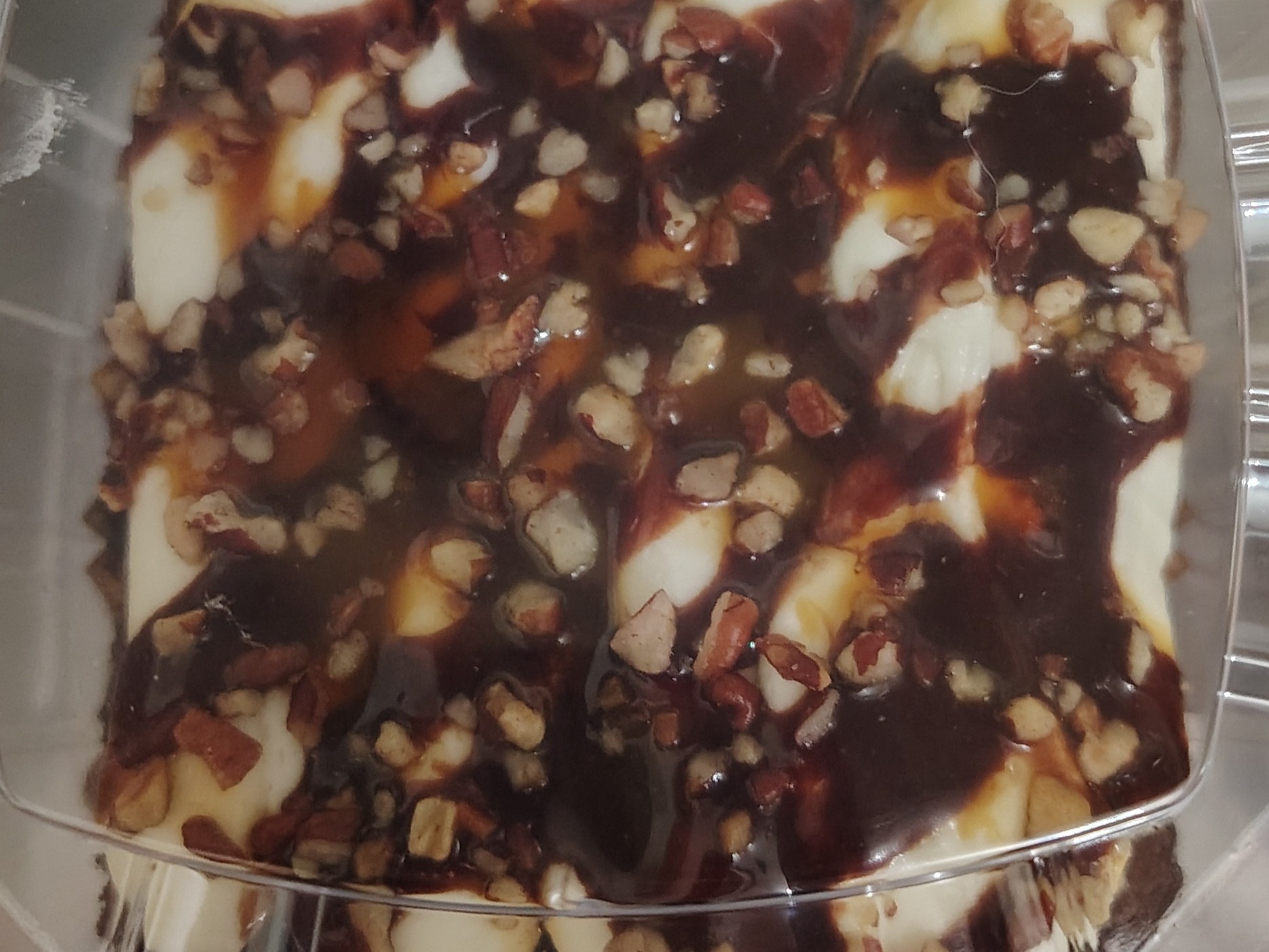 Turtle Brownie