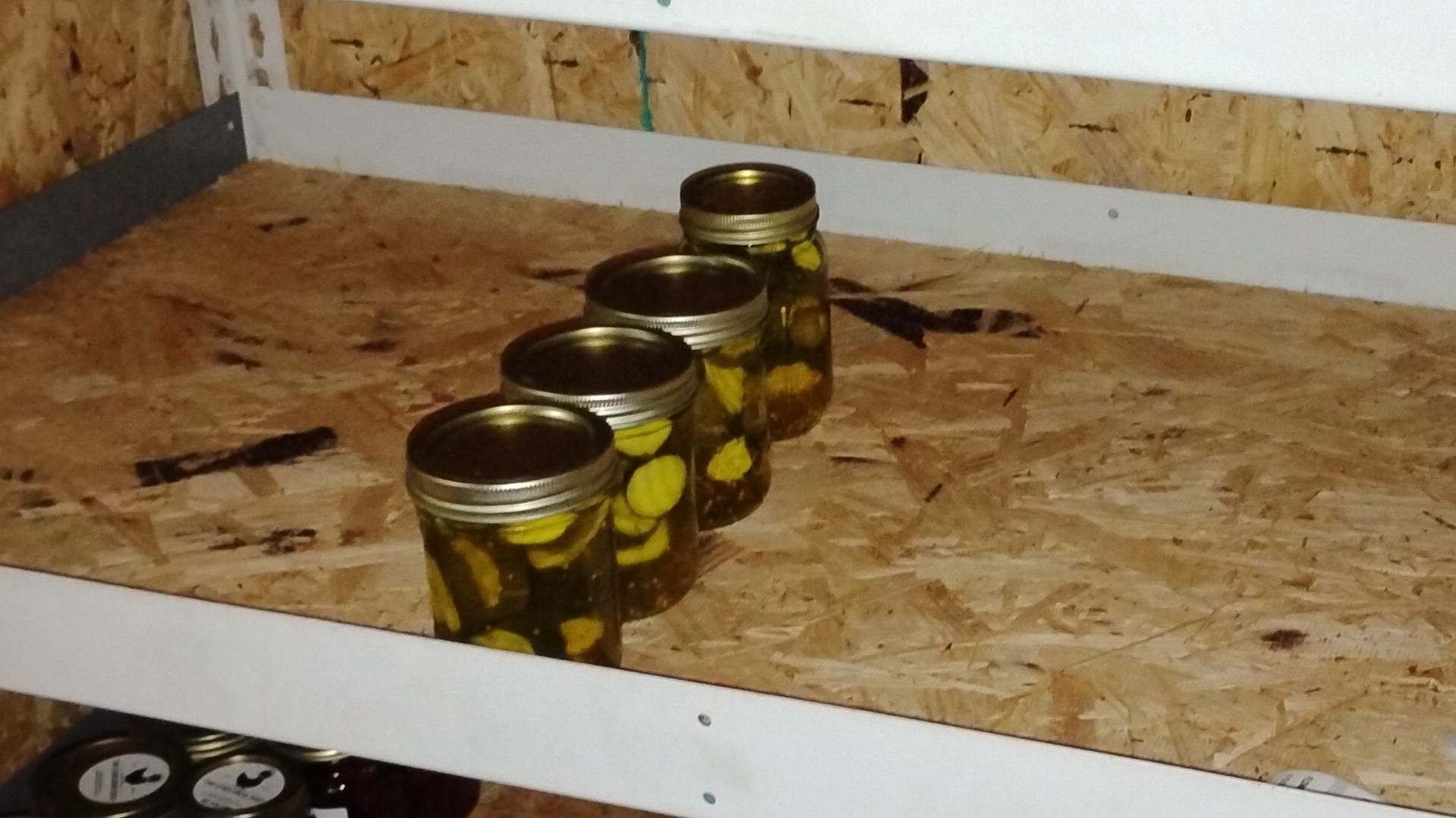 Kosher dill pickles