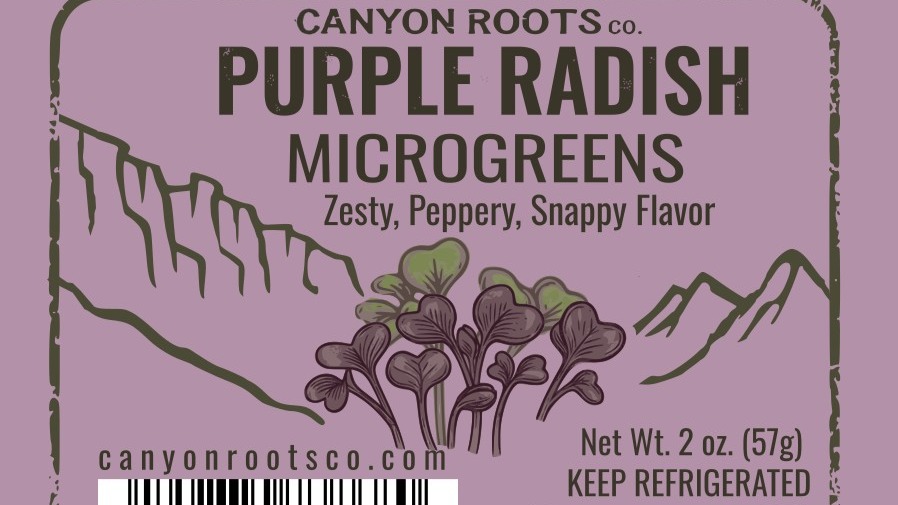 Thumbnail image 2 for Rambo Radish (Purple Radish)