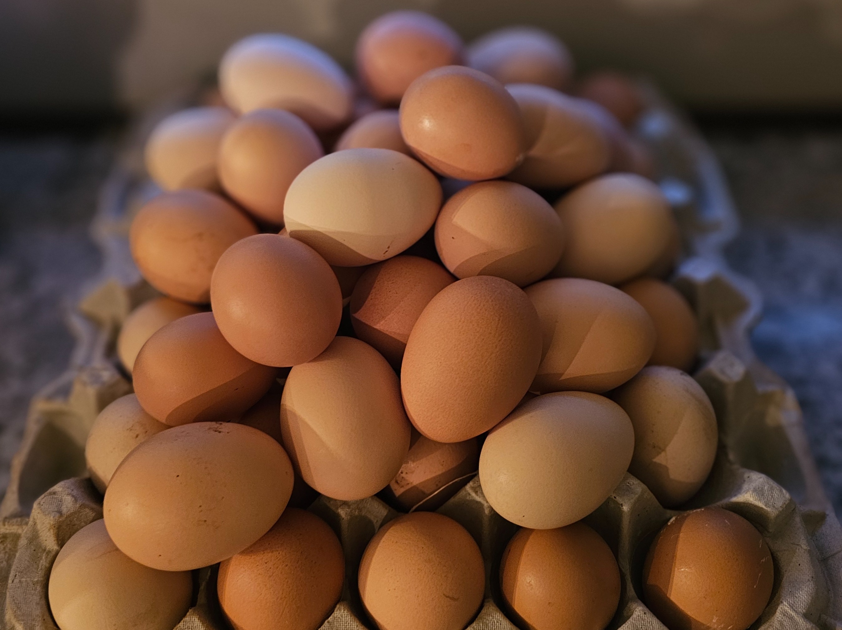Farm Fresh Eggs - 1 Dozen