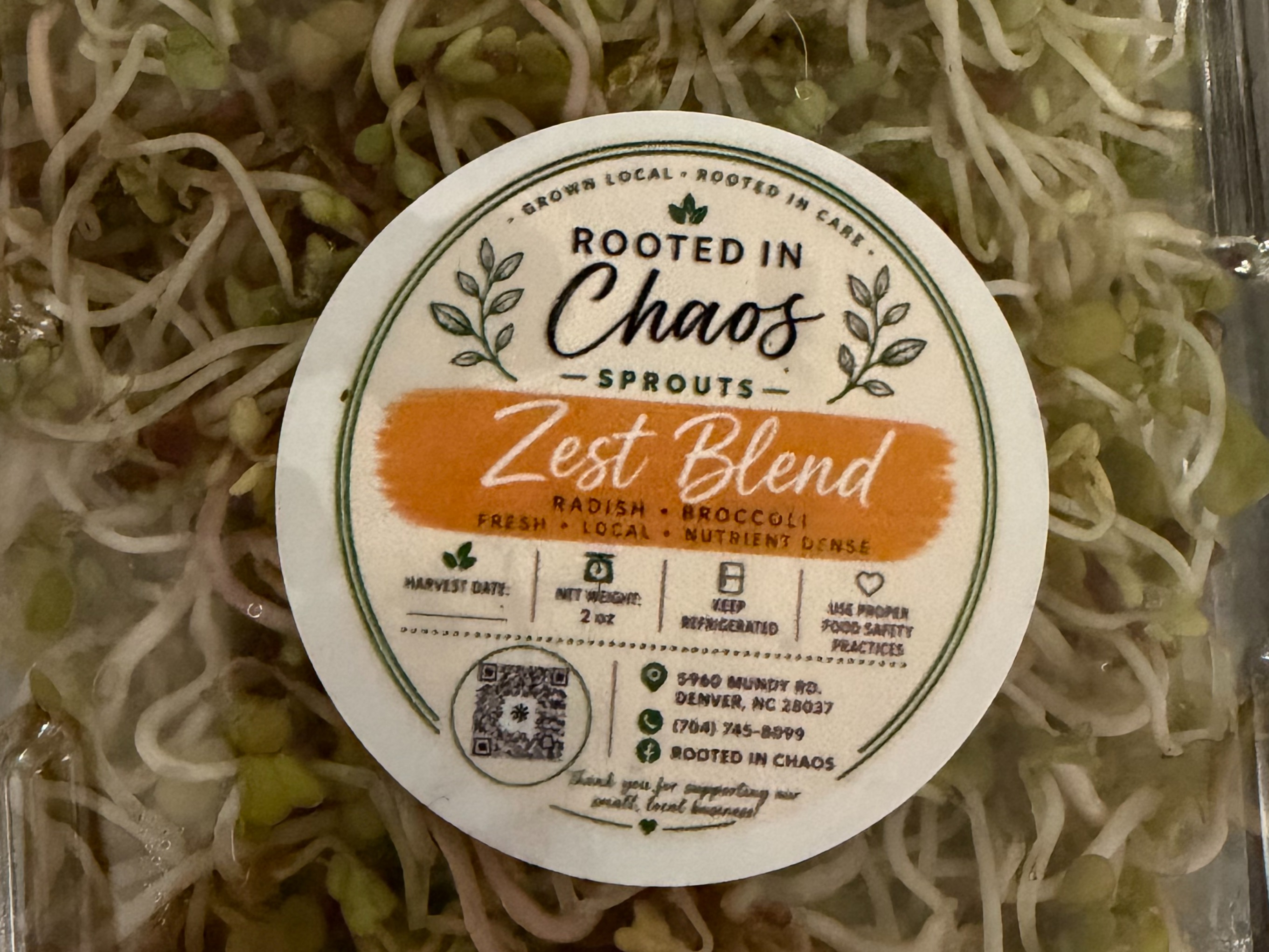 Zest Blend