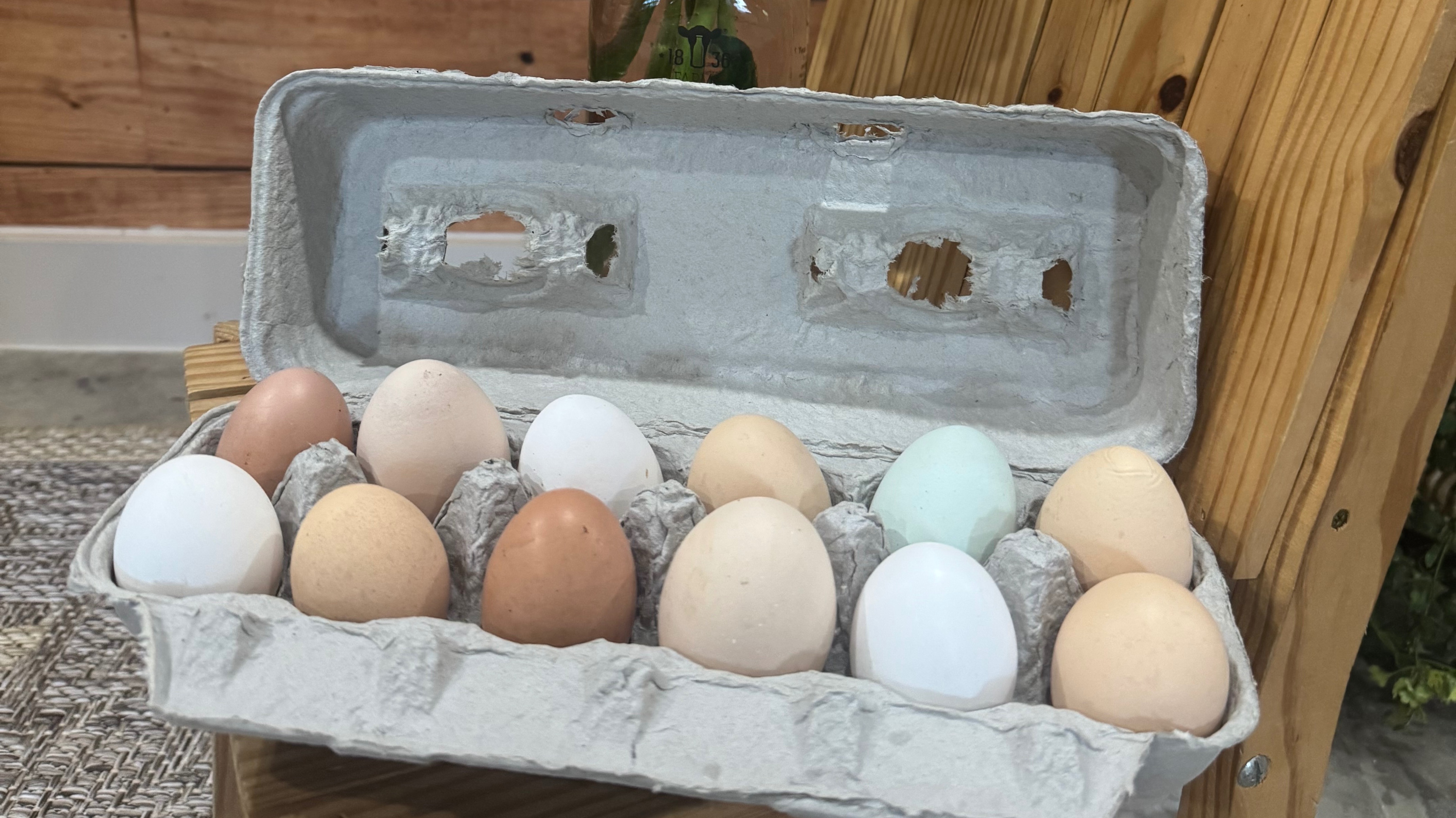 Pasture Raised chicken eggs