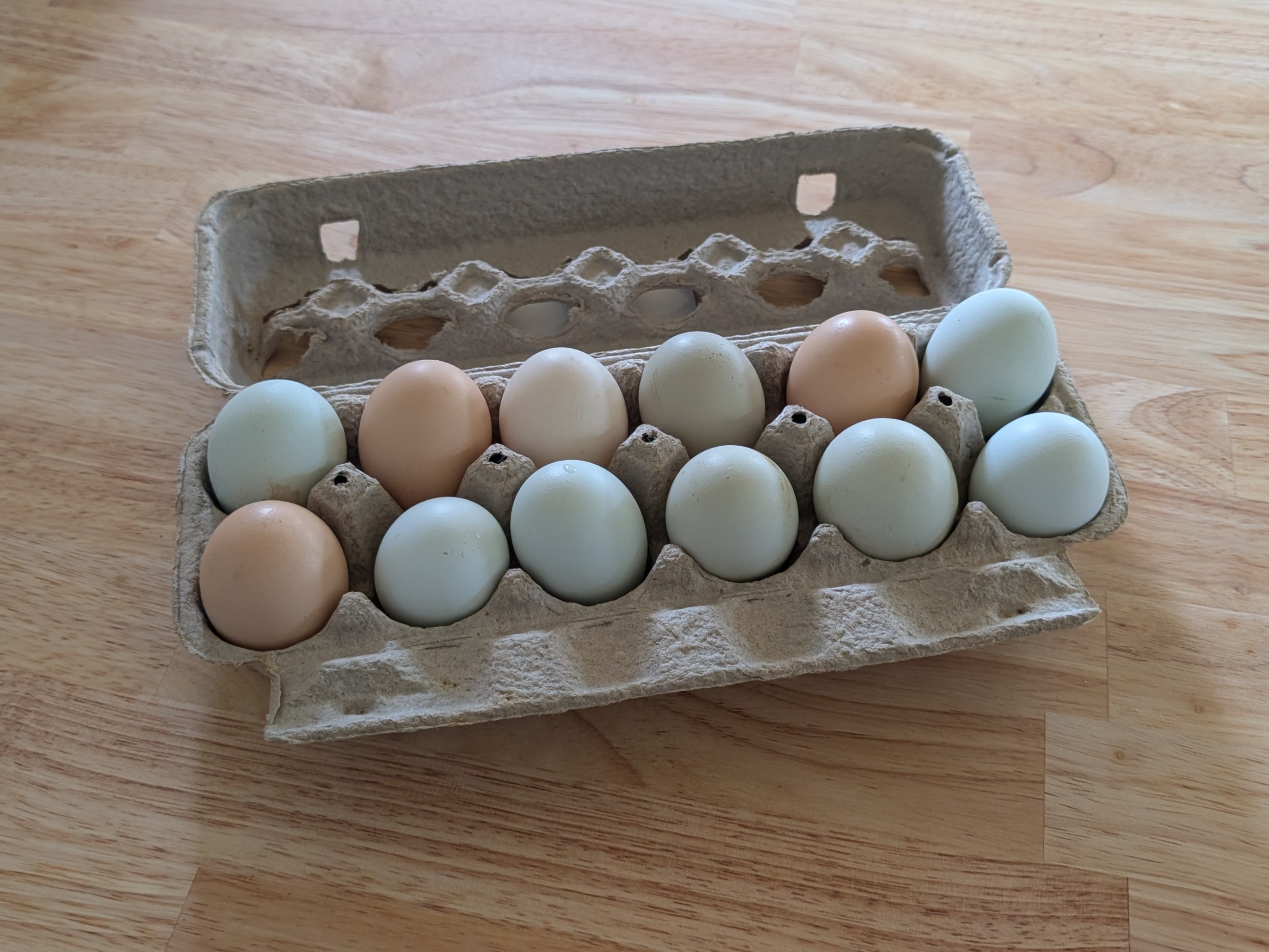 Free-Range Eggs - 1 Dozen