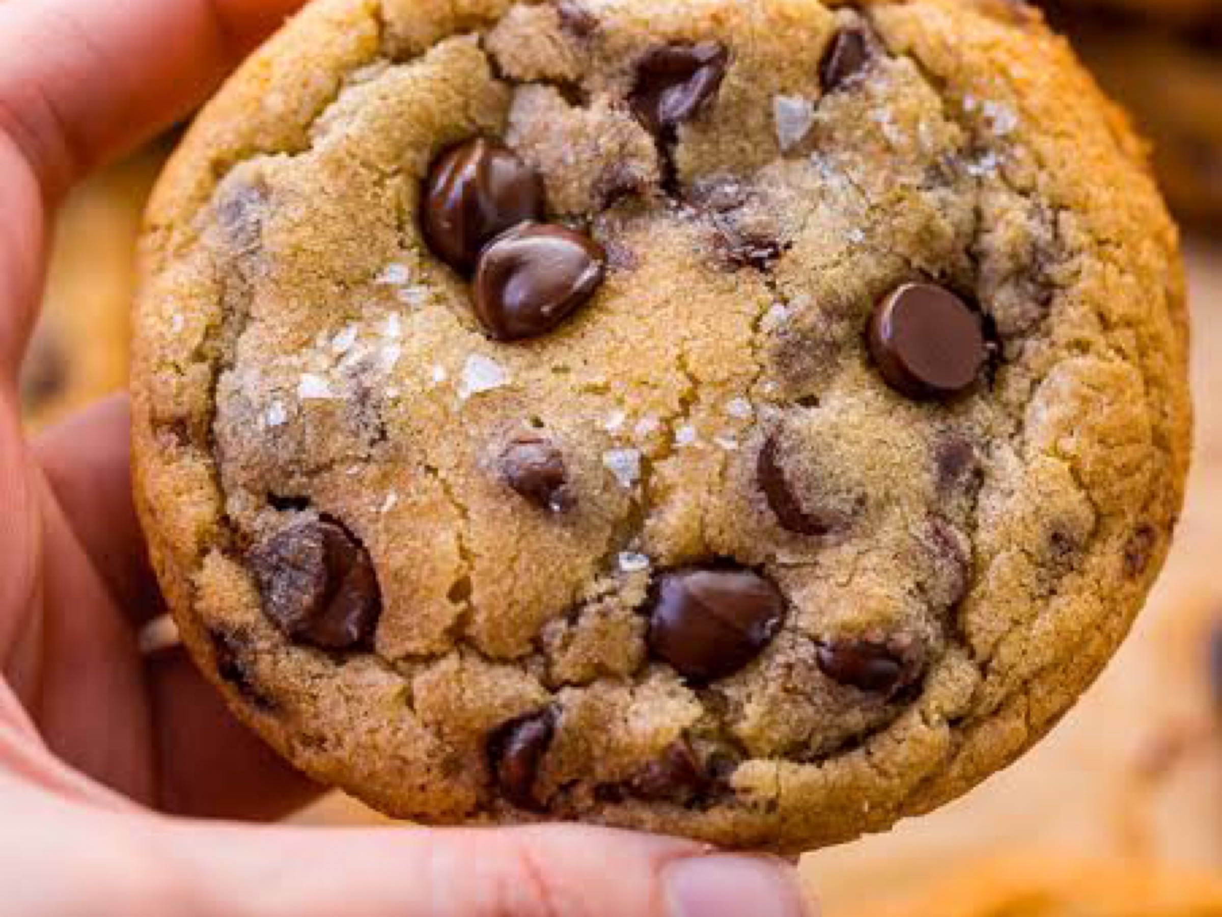 Brown Butter Chocolate Chip Cookie