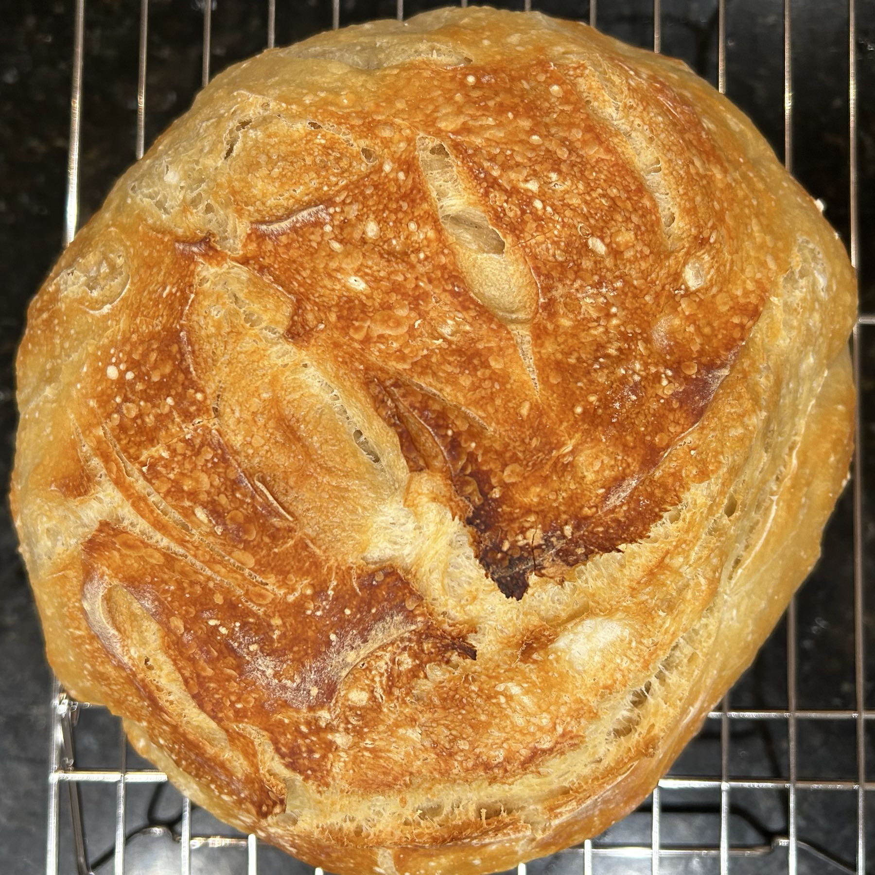 Thumbnail image 1 for Sourdough Artisan Loaf 