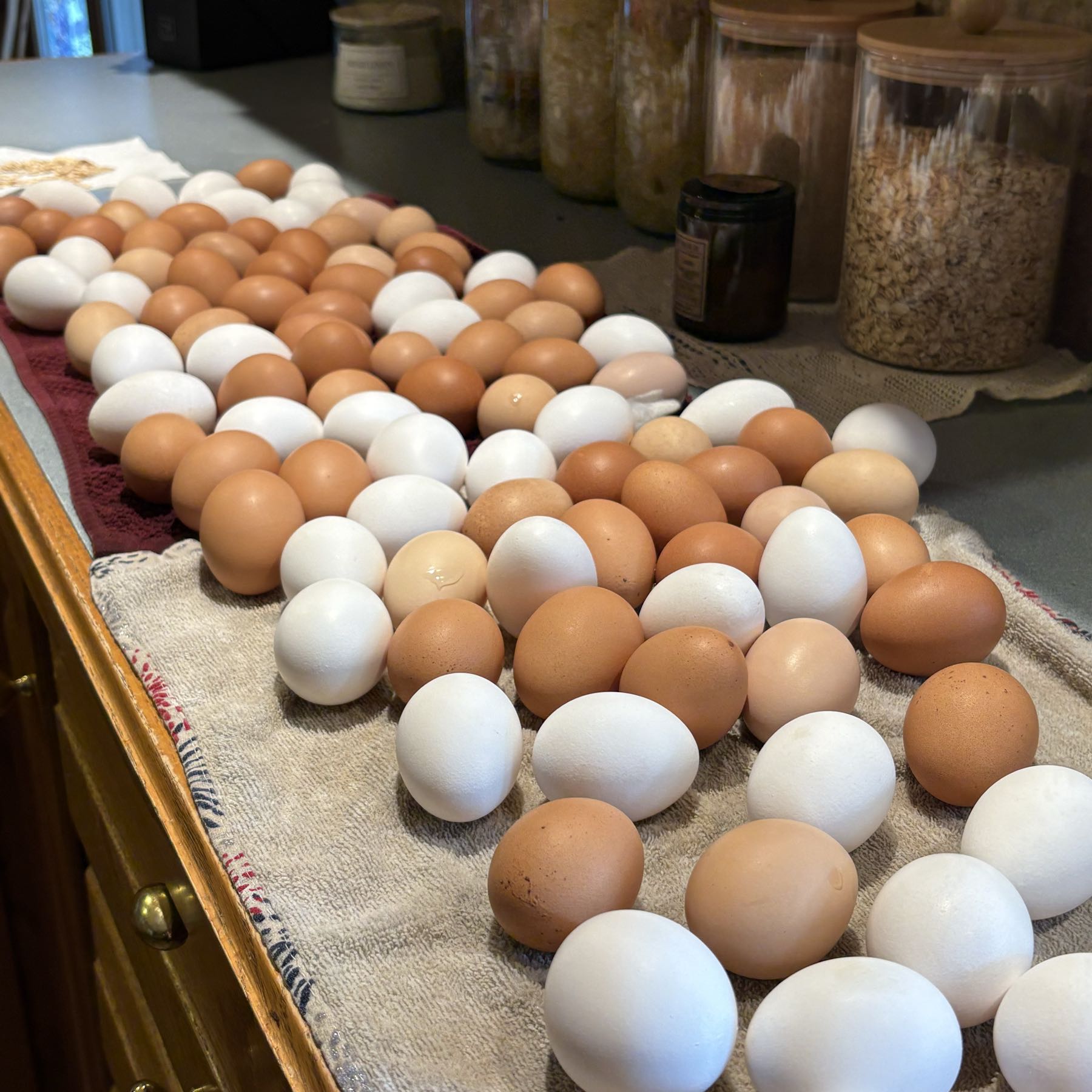 Pasture-Raised Eggs