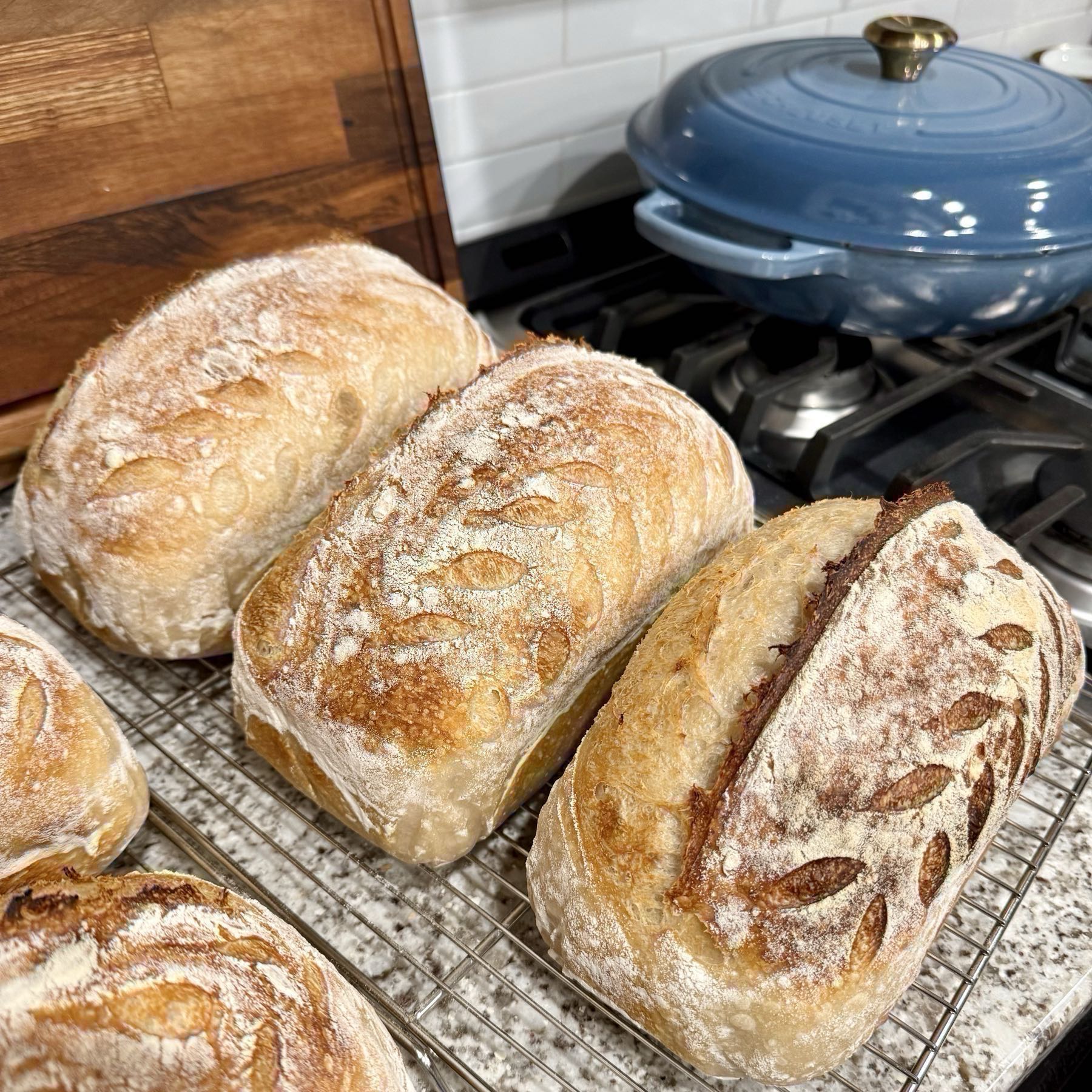 Re-bread-ca’s Organic Sourdough Loaf