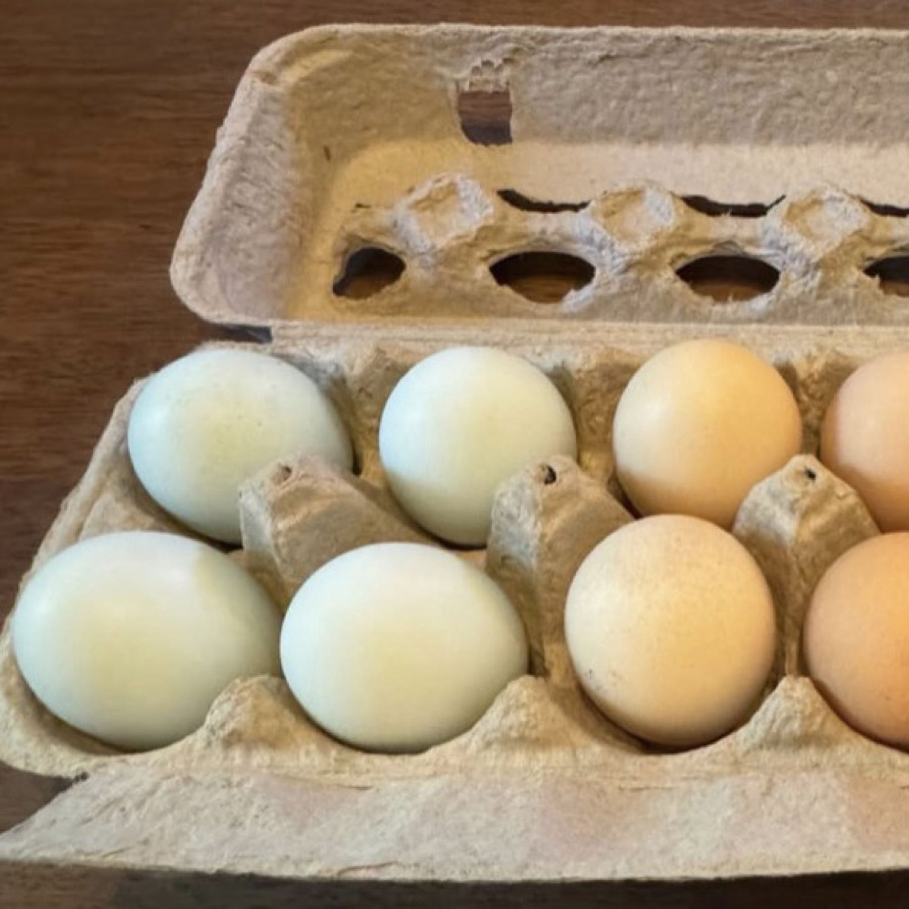 Large Nest-Fresh Chicken Eggs