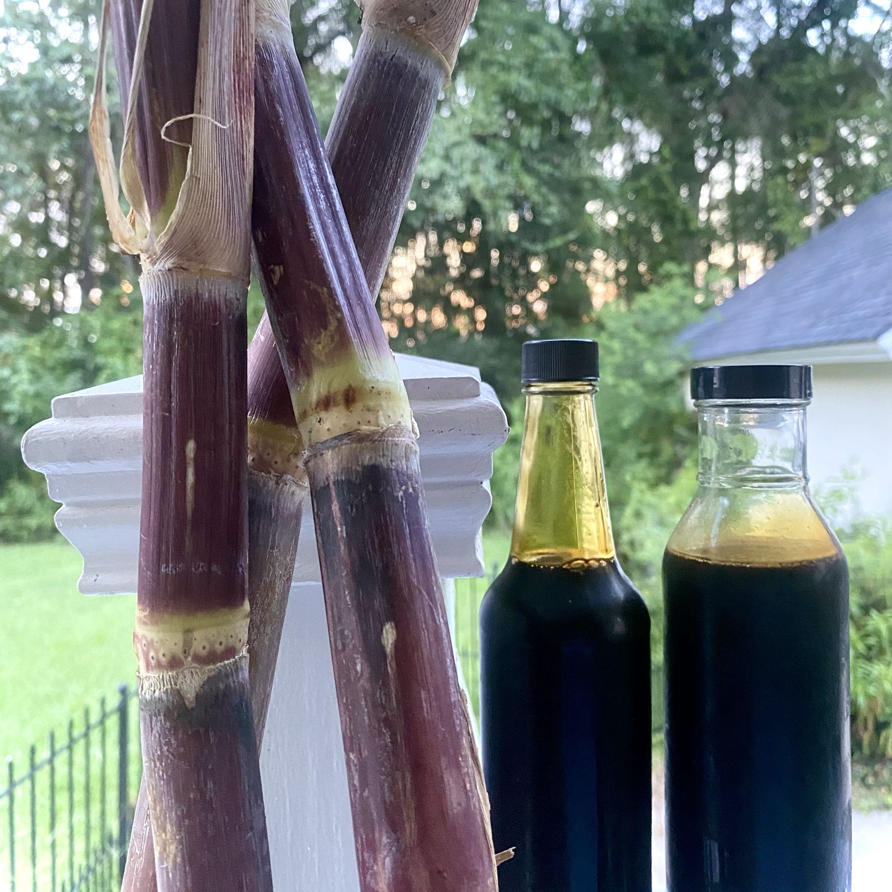 Thumbnail image 1 for Cane Syrup