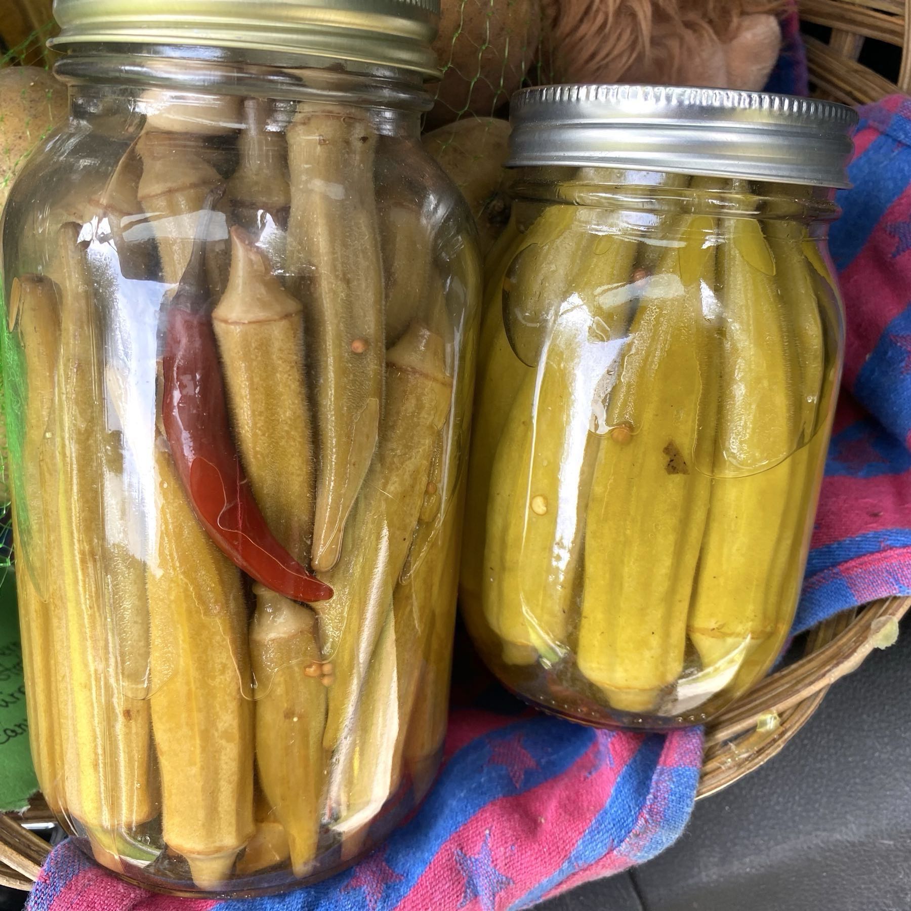 Pickled okra