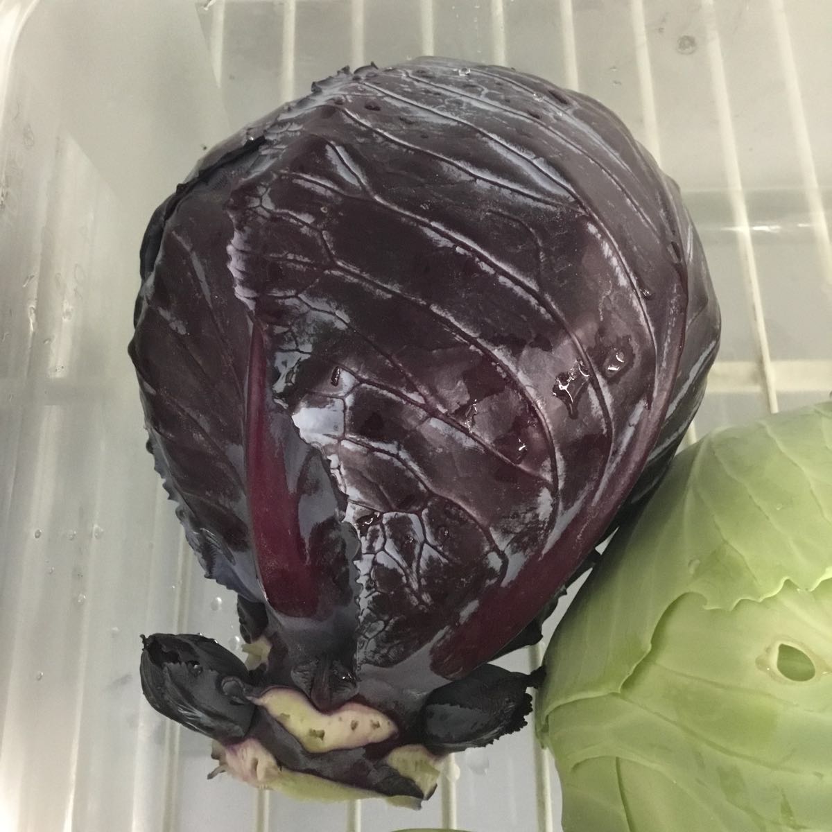 Fresh - Purple Cabbage 