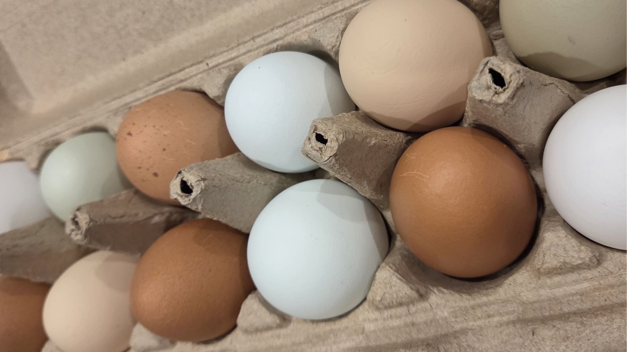 Eggs - 1 dozen