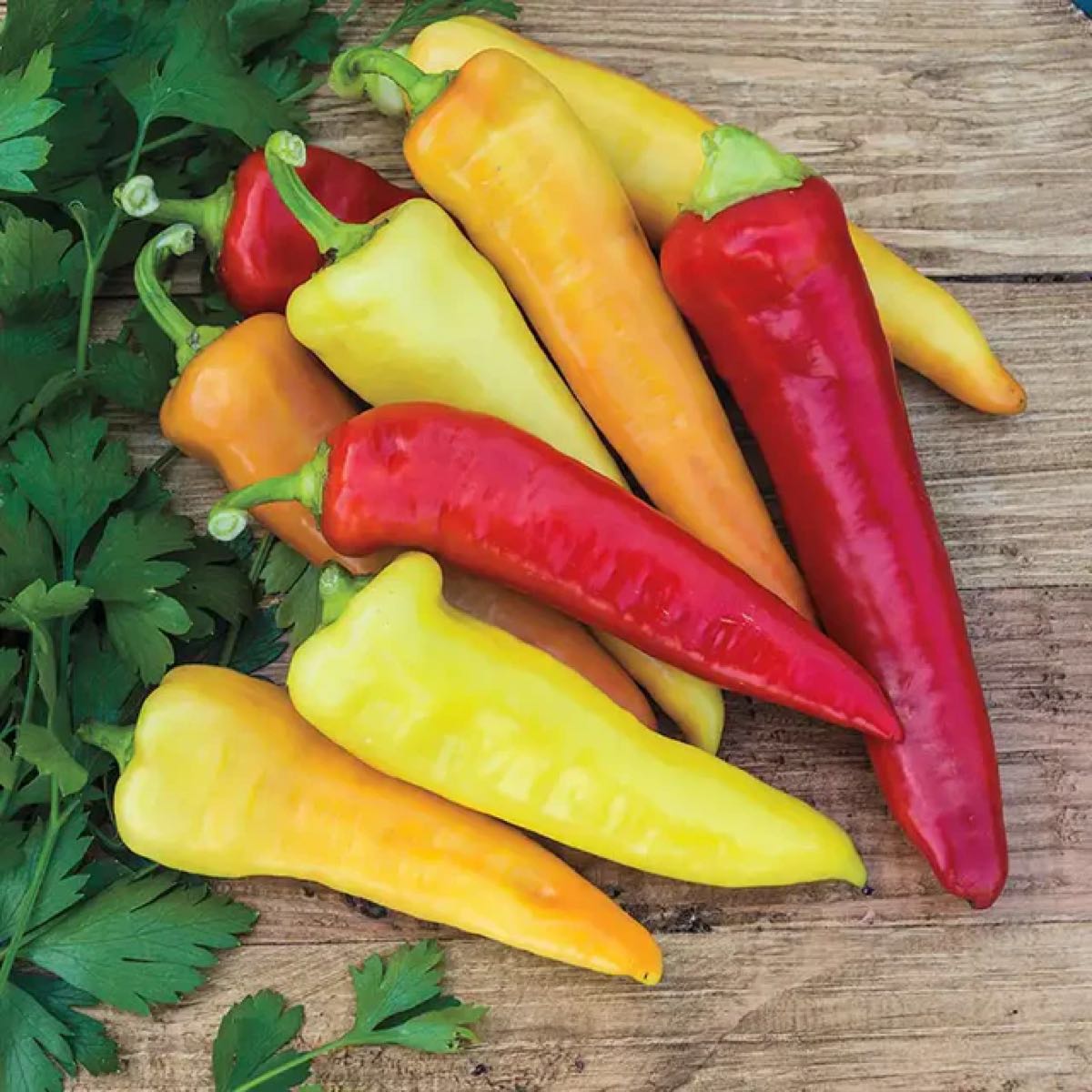 Thumbnail image 1 for Fresh - Anaheim Pepper