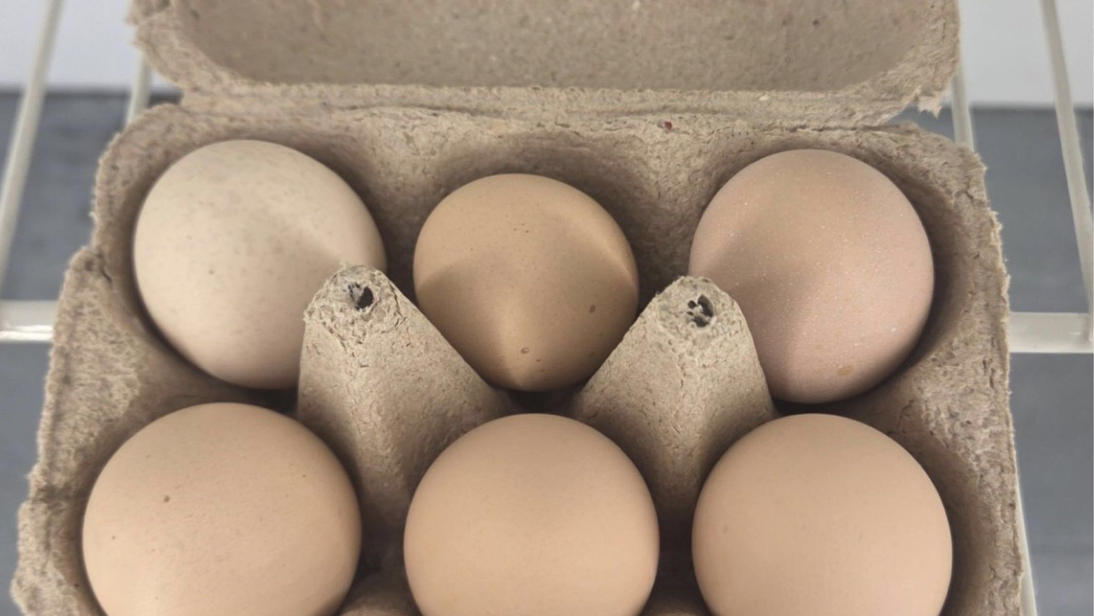 Eggs - Half Dozen 3 weeks old