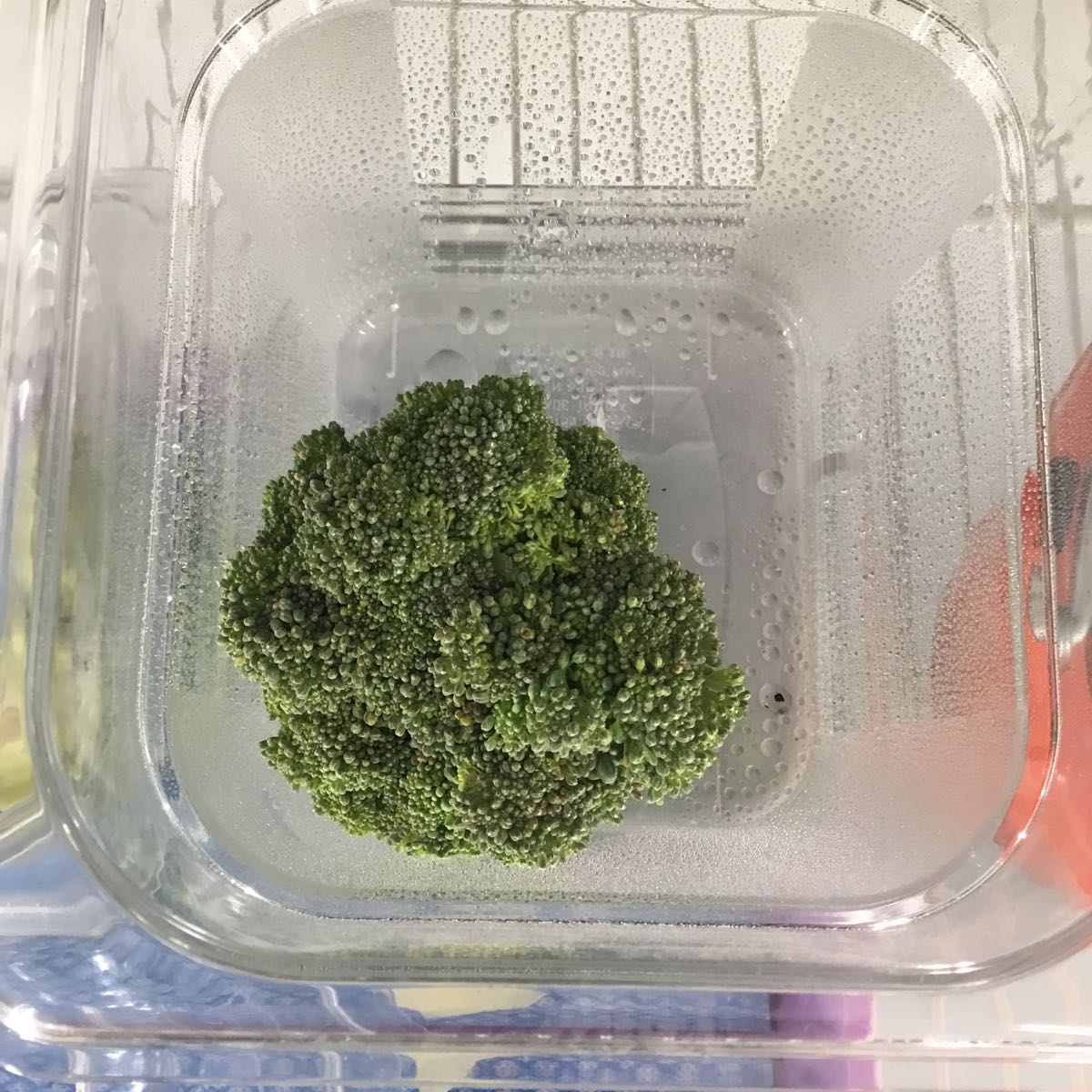 Fresh - Broccoli 