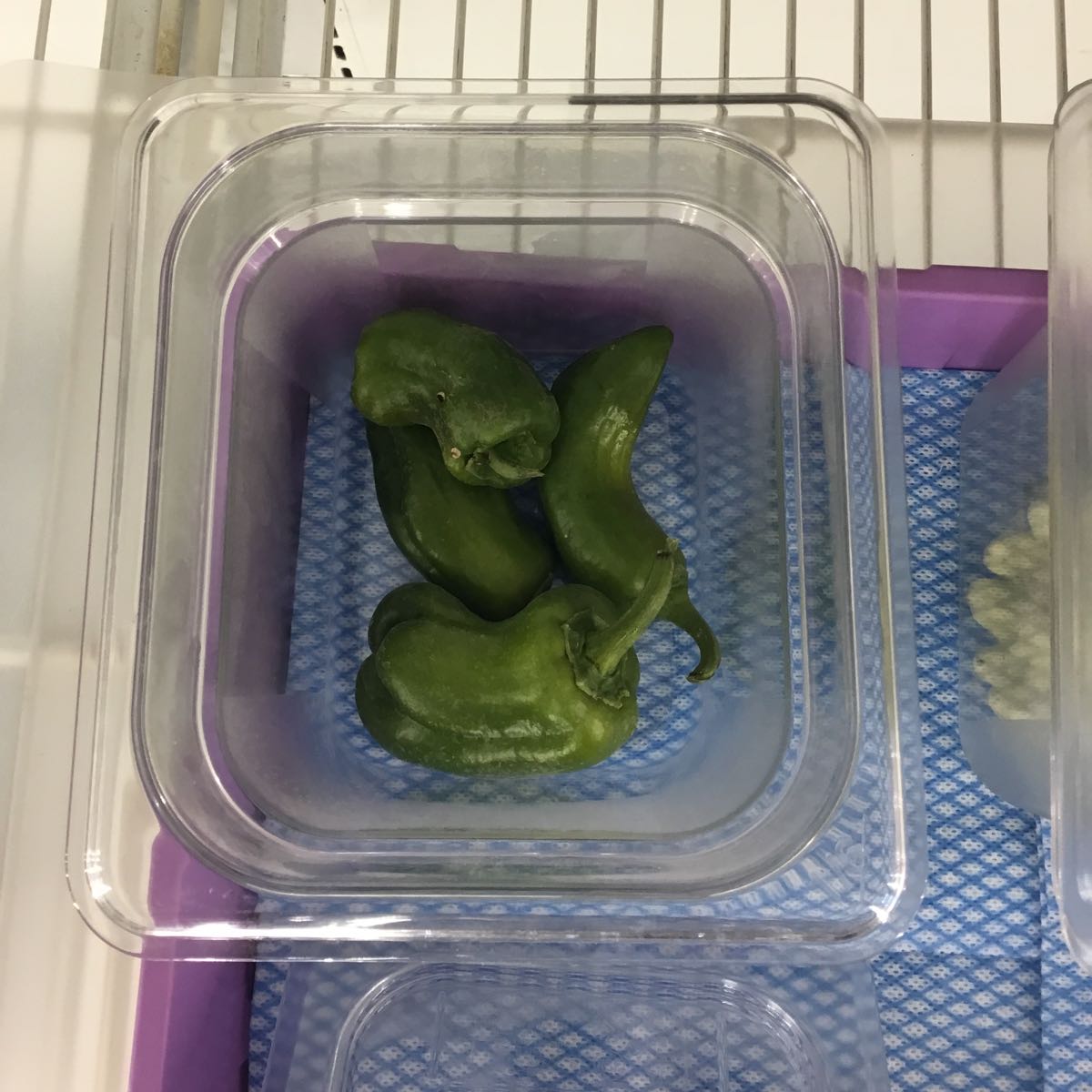 Fresh - Green Bell Pepper
