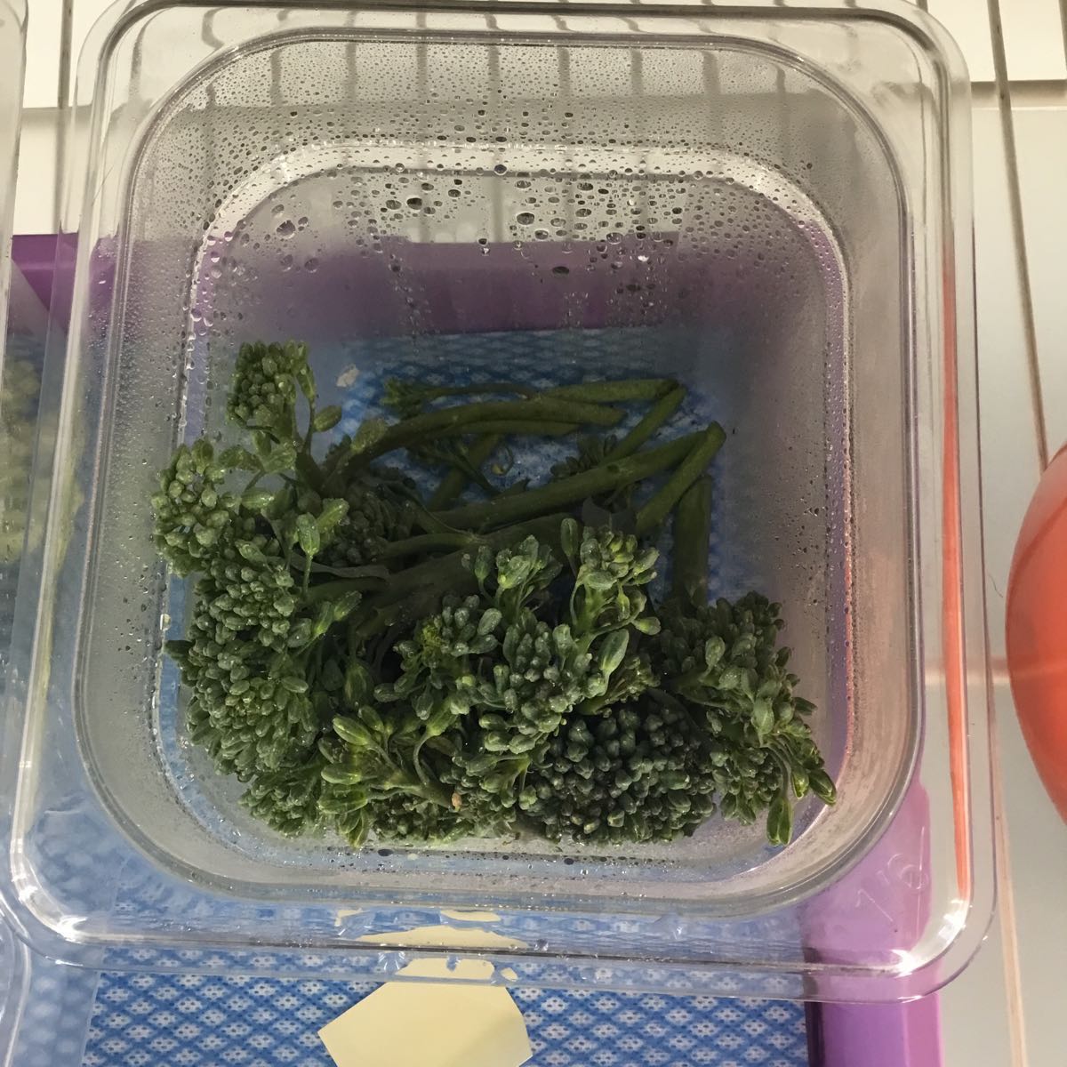 Fresh - Broccolini