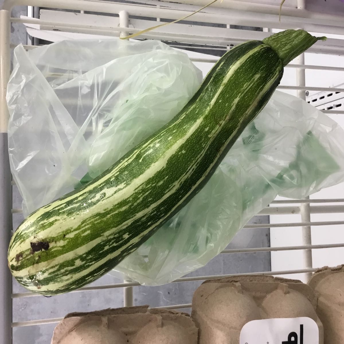 Fresh - Zebra Zucchini