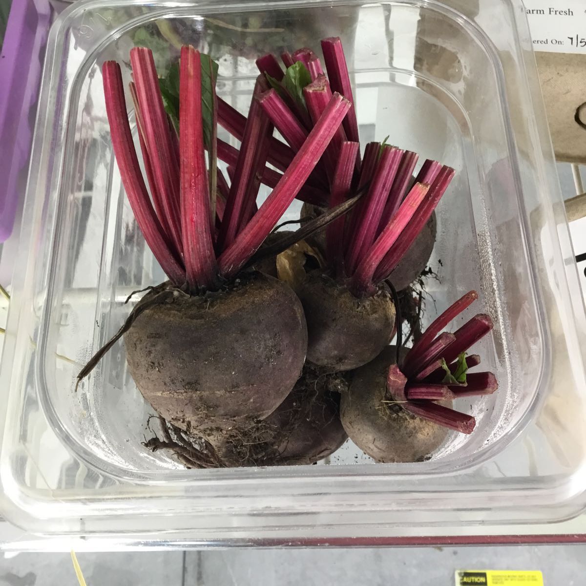 Fresh - Boro Beets