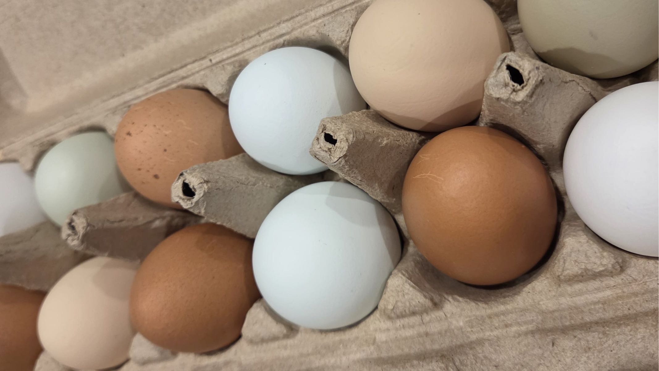 Eggs - 1 dozen 1 week 
